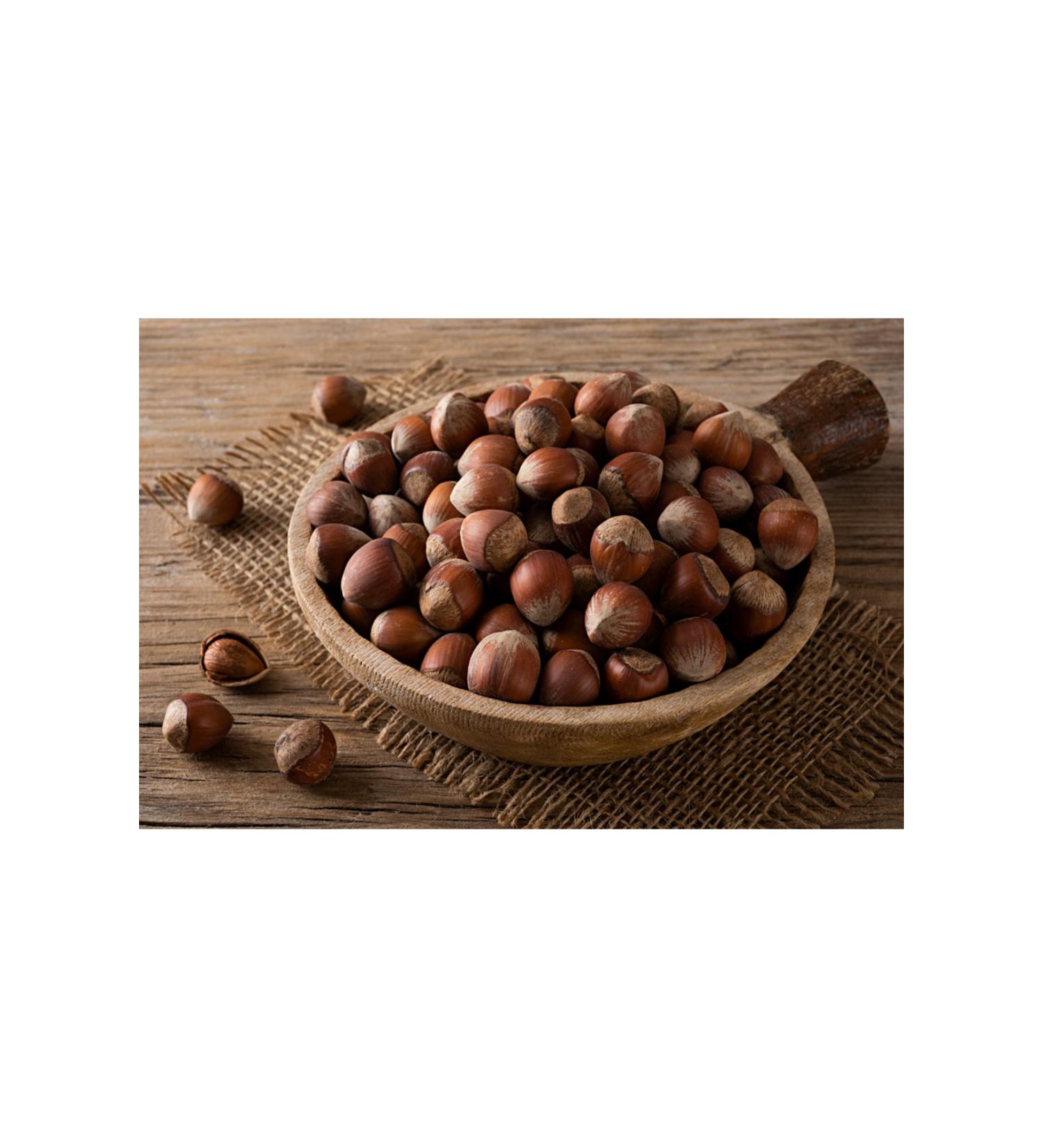 TicaretDeniz Hazelnut Shelled Thin Shell Raw Giresun Natural Local New Crop 1st Quality Coarse Grain 950 Gr