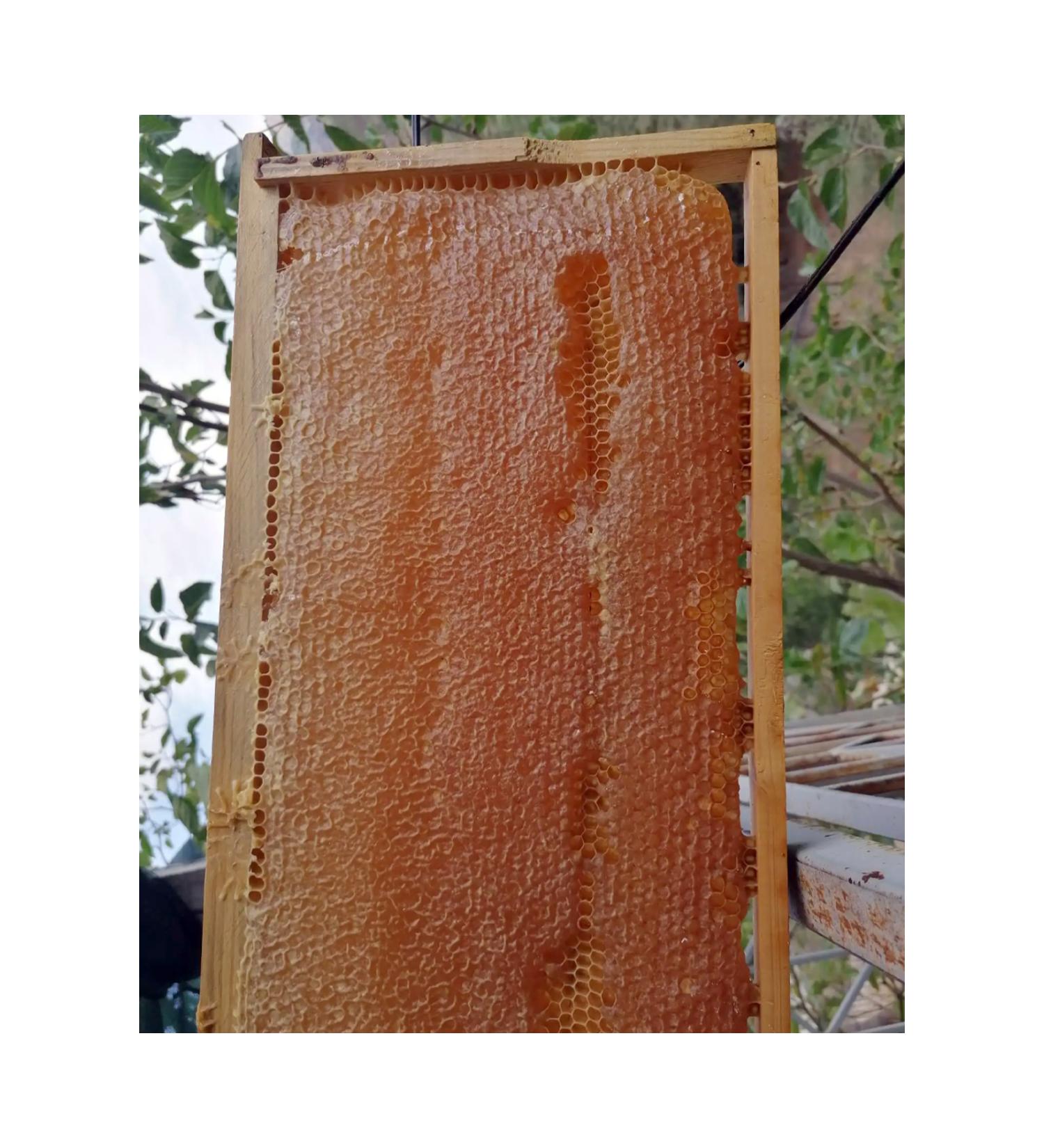 Pollen Bee Farm Organic Comb Honey Flower Honey (4-4.2 KG)