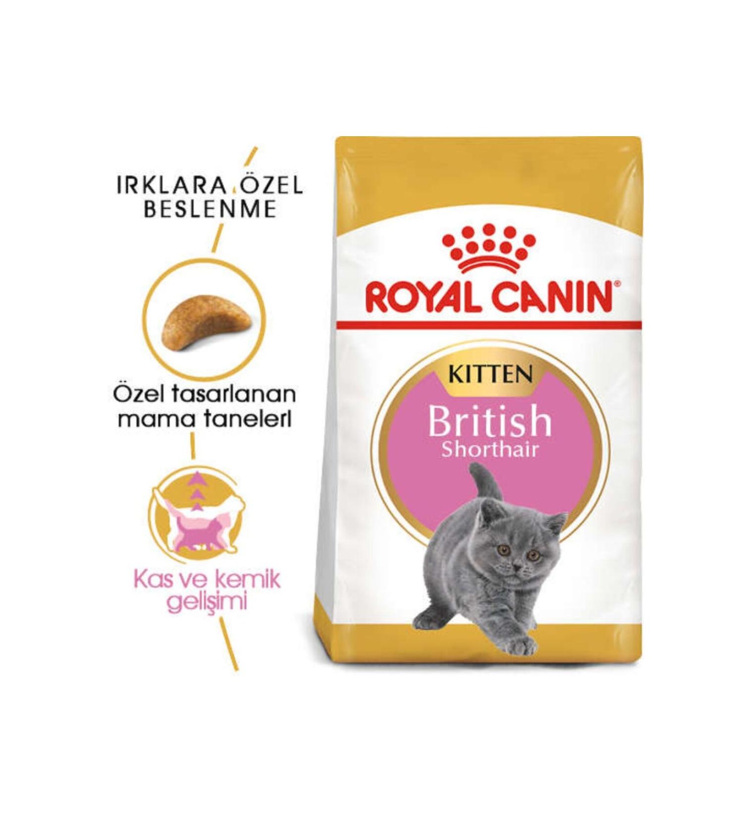 Royal Canin Kitten British Shorthair Kitten Cat Food 2 Kg - Buy Online on GoSupps.com
