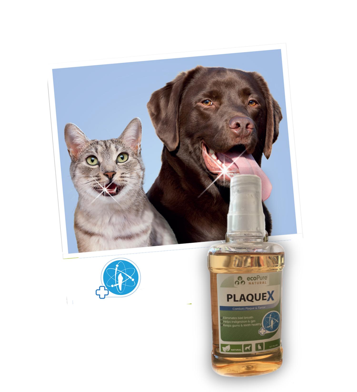 Ecopure Plaquex Cat Dog Tartar & Plaque Inhibitor (Bad Breath Remover) Oral Care Solution - Buy Online on GoSupps.com