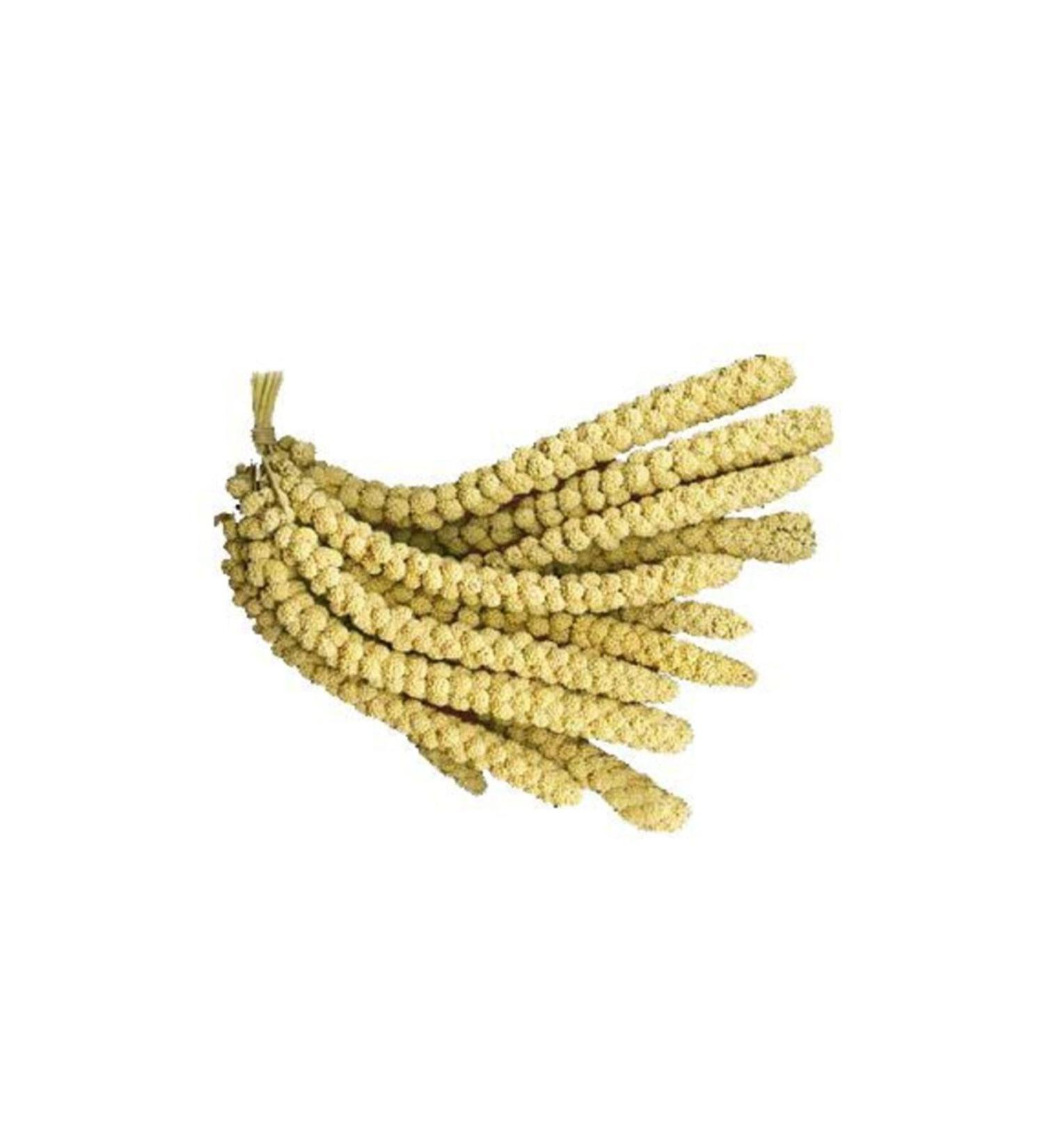 Yellow Dal Millet Coarse Grain 500 Gr