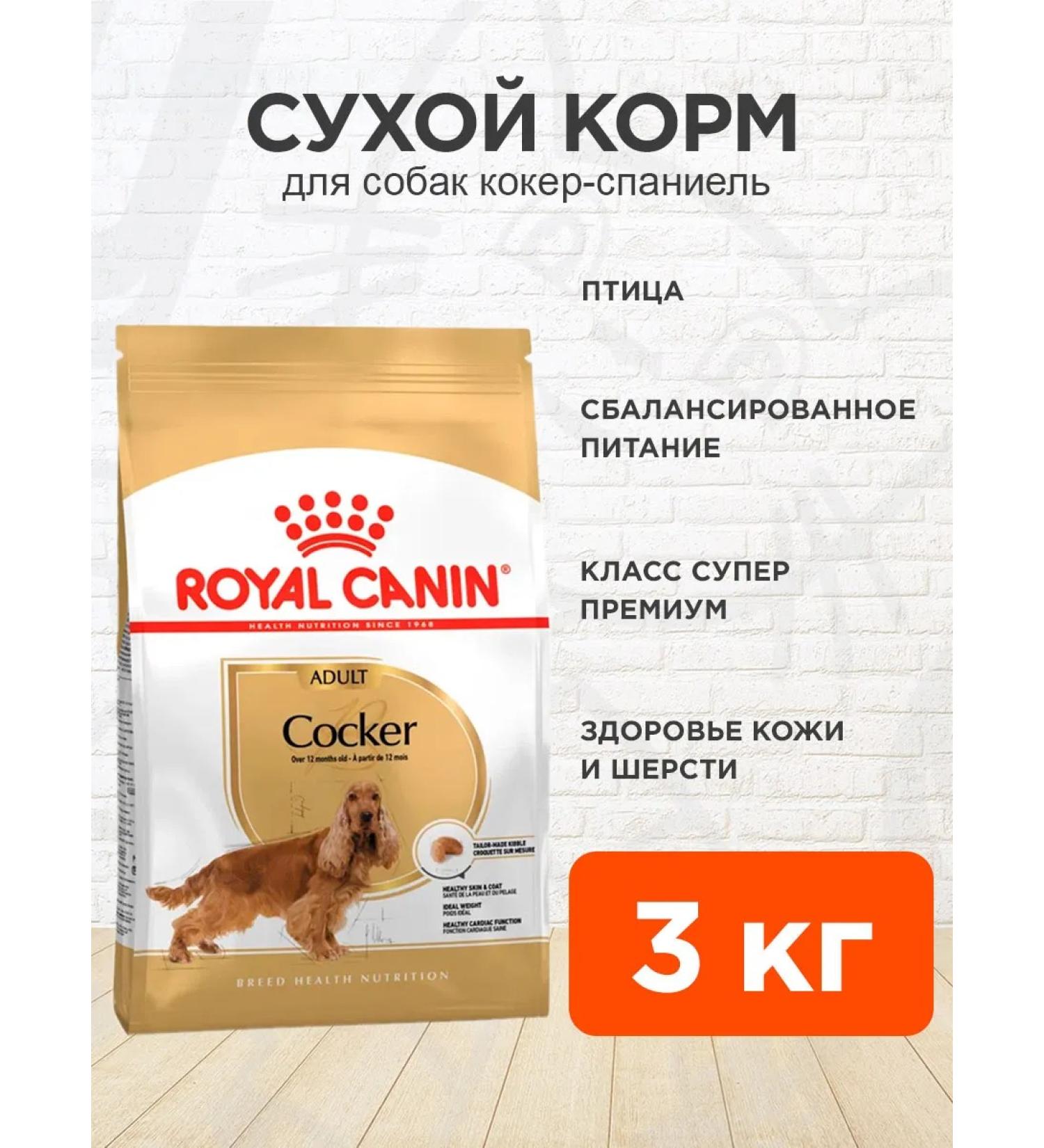 ROYAL CANIN Dog food dry Cocker Cocker Spaniel 3 kg - Buy Online on GoSupps.com