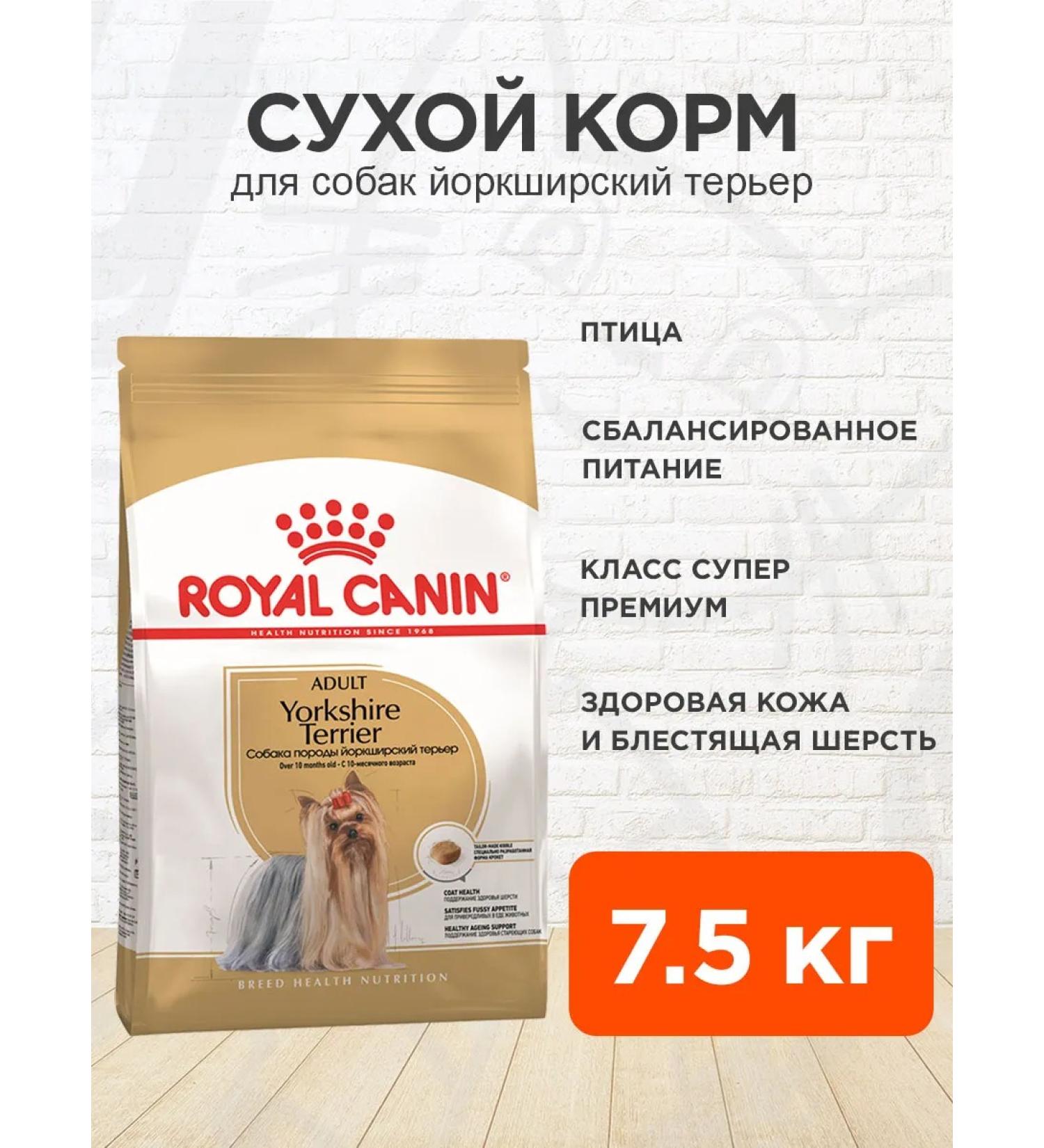 ROYAL CANIN Dog food dry Yorkshire Terrier 7.5 kg - Buy Online on GoSupps.com