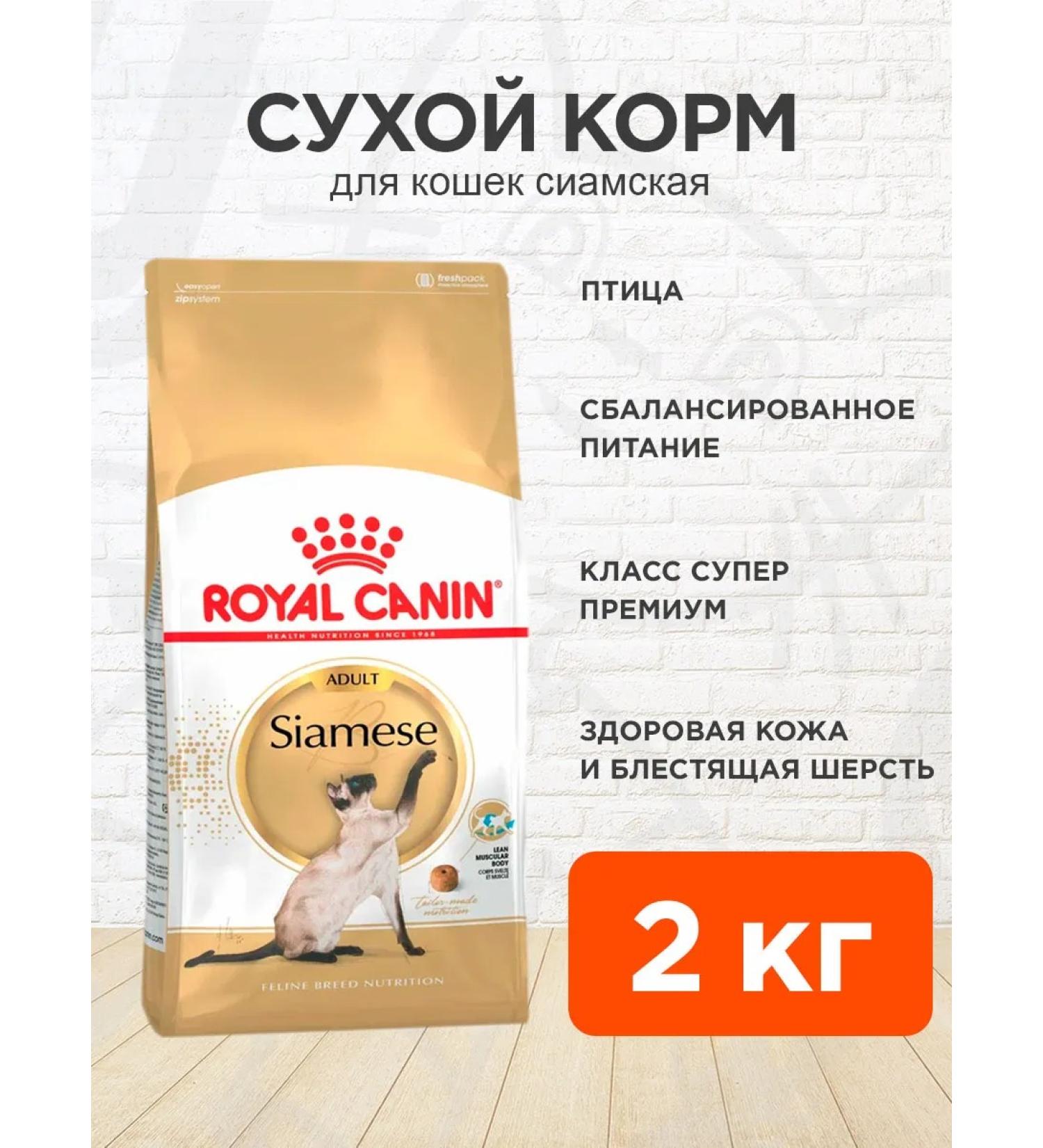ROYAL CANIN Cat food dry siamese 2 kg - Buy Online on GoSupps.com