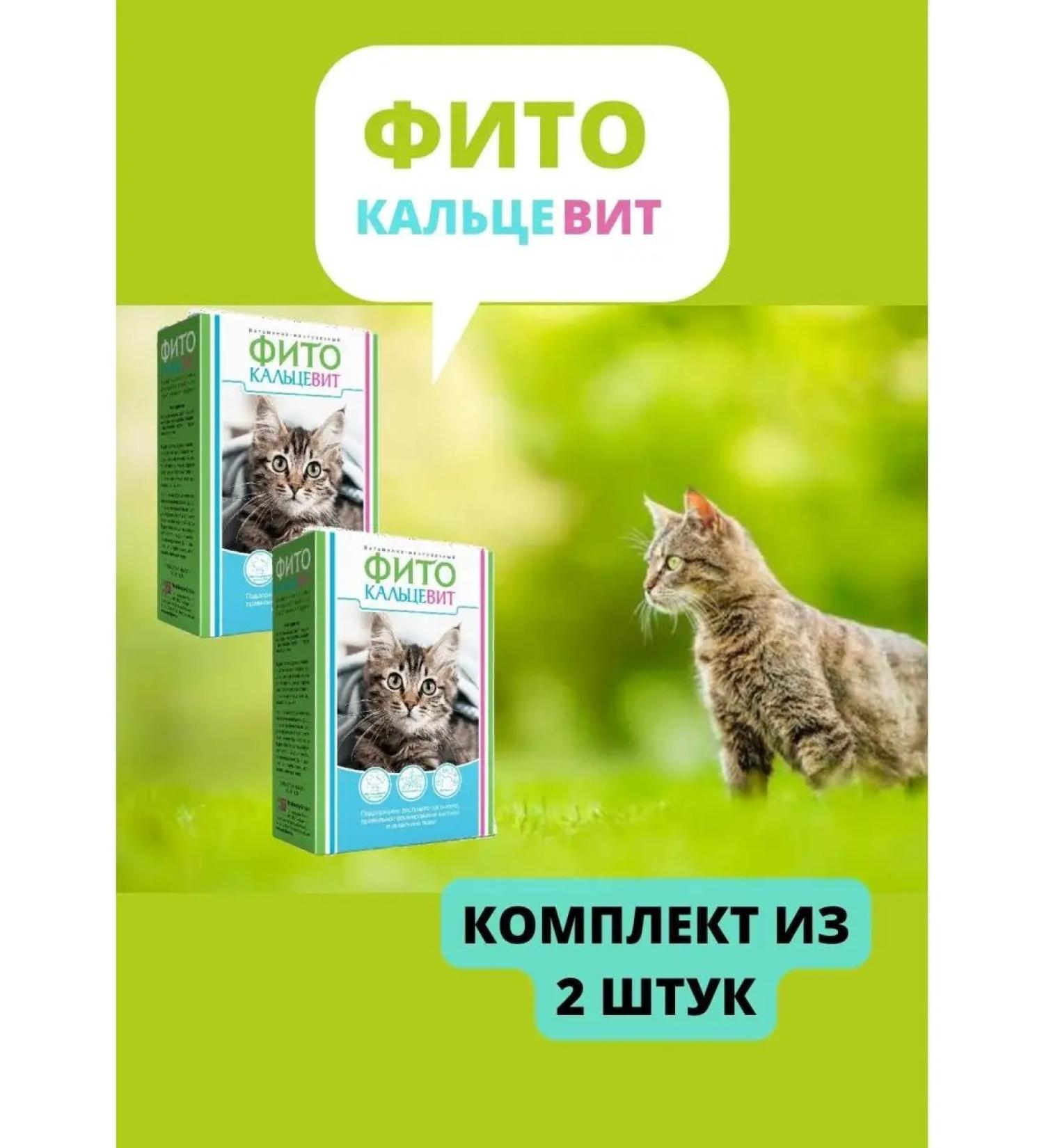 Phytocalcevit Vitamin-mineral additive for cats 250g - Buy Online on GoSupps.com
