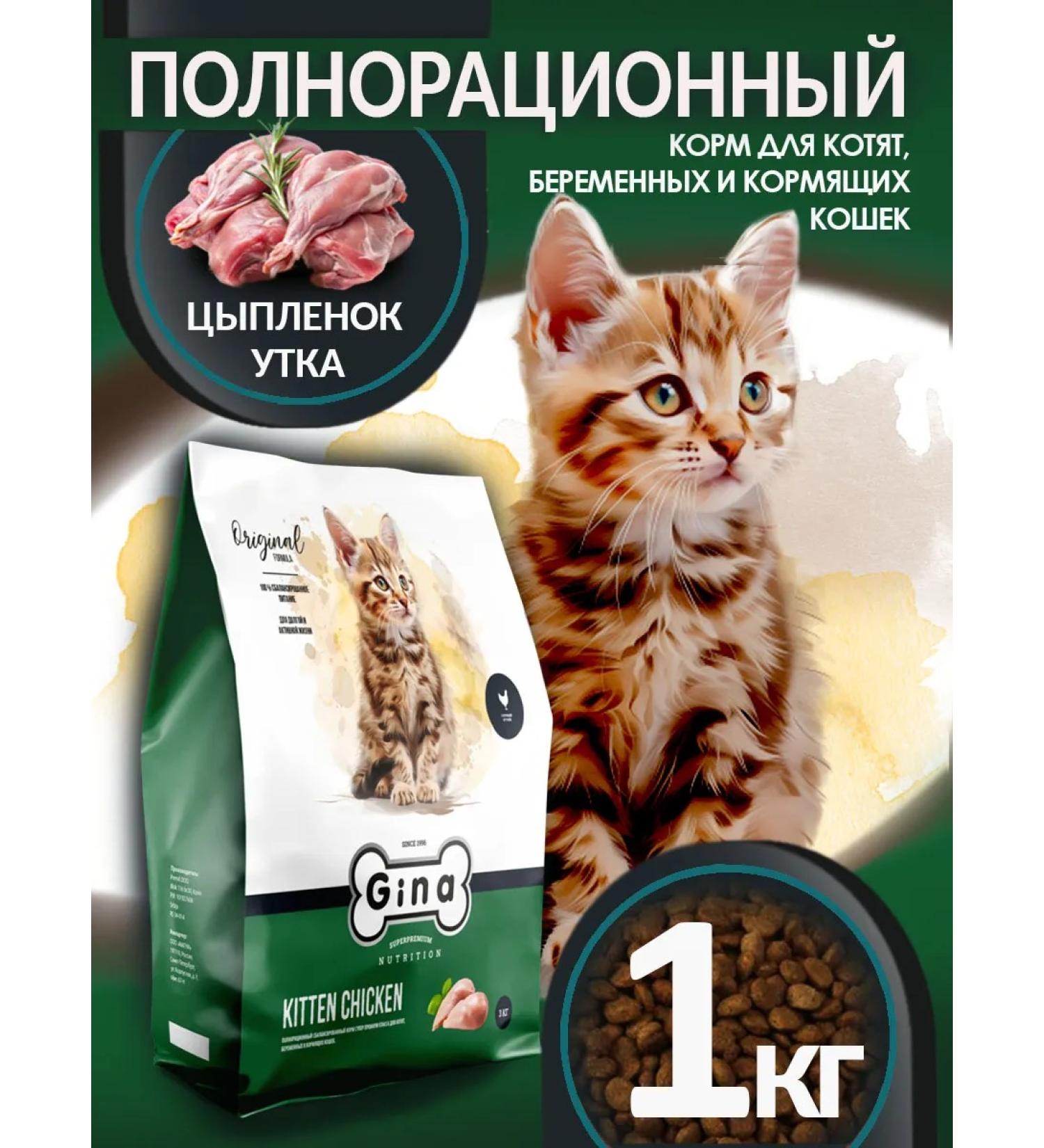 Gina Dry food for pregnant women feeding cats and kittens 1 kg - Buy Online on GoSupps.com
