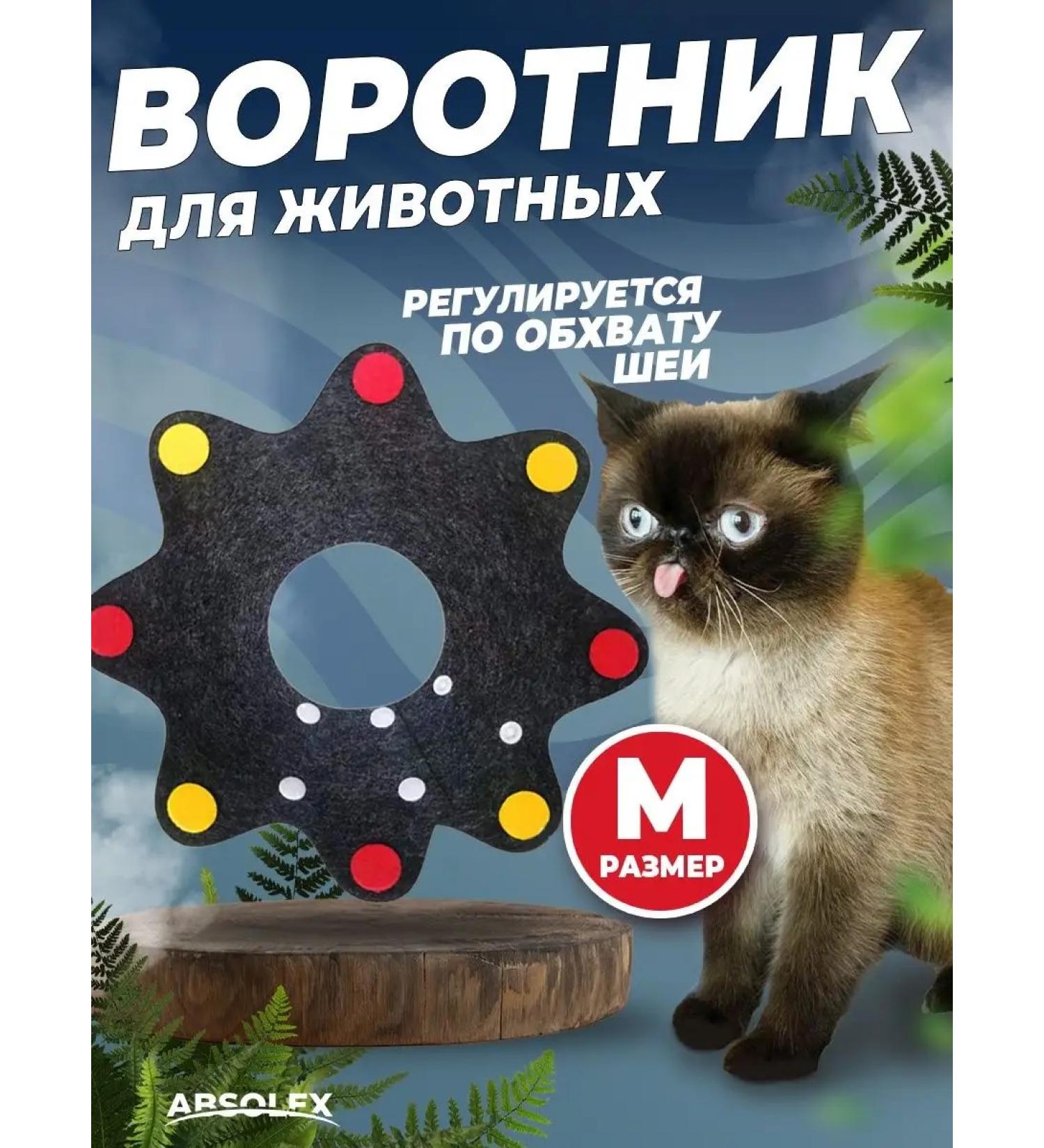 Absolex Protective collar for a cat for dogs - Buy Online on GoSupps.com