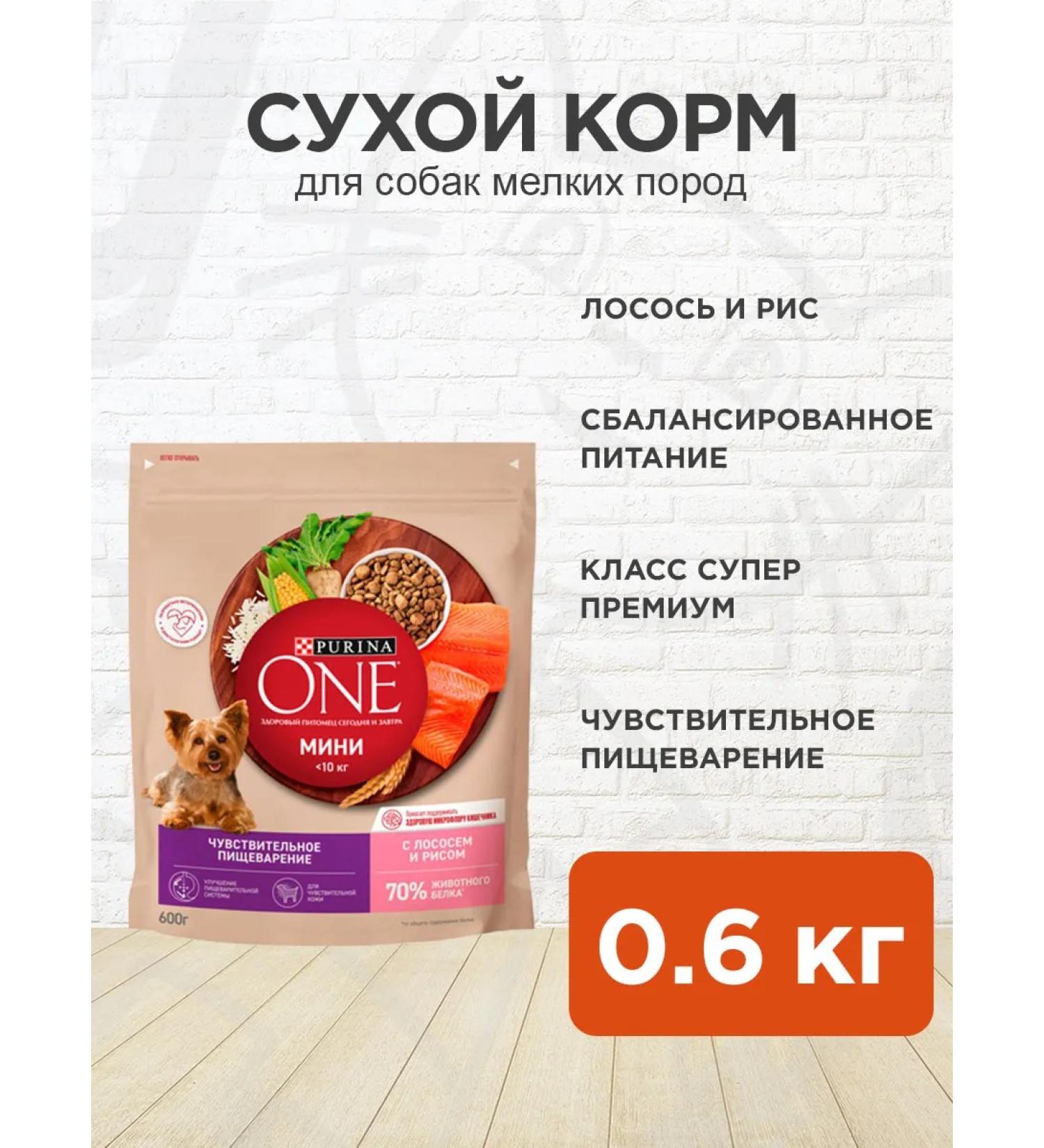PURINA ONE Dog feed for Dry mini for digestion salmon 0.6 kg - Buy Online on GoSupps.com