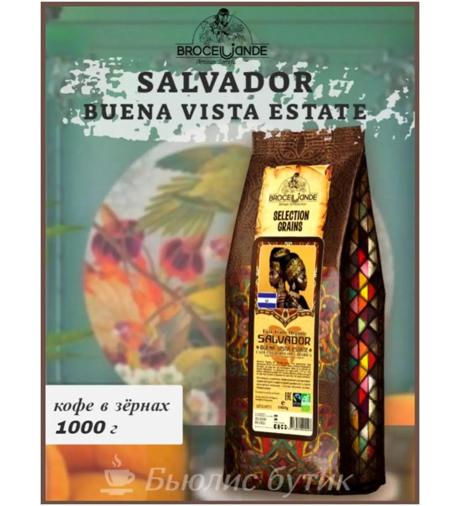 Brocelliande Salvador Buena Vista Estate 1 kg coffee - Buy Online on GoSupps.com