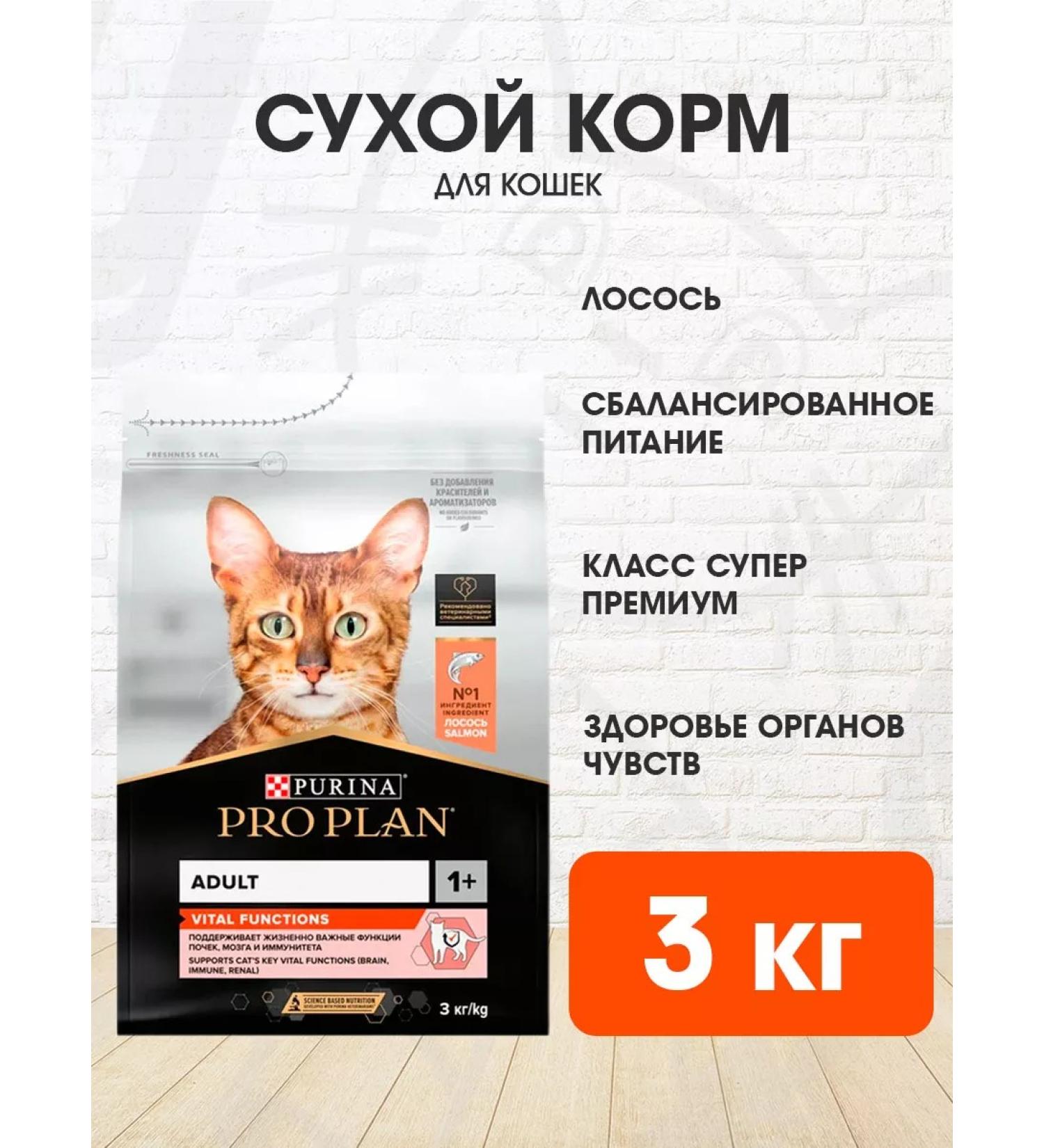 PRO PLAN Cat food for dry salmon 3 kg - Buy Online on GoSupps.com