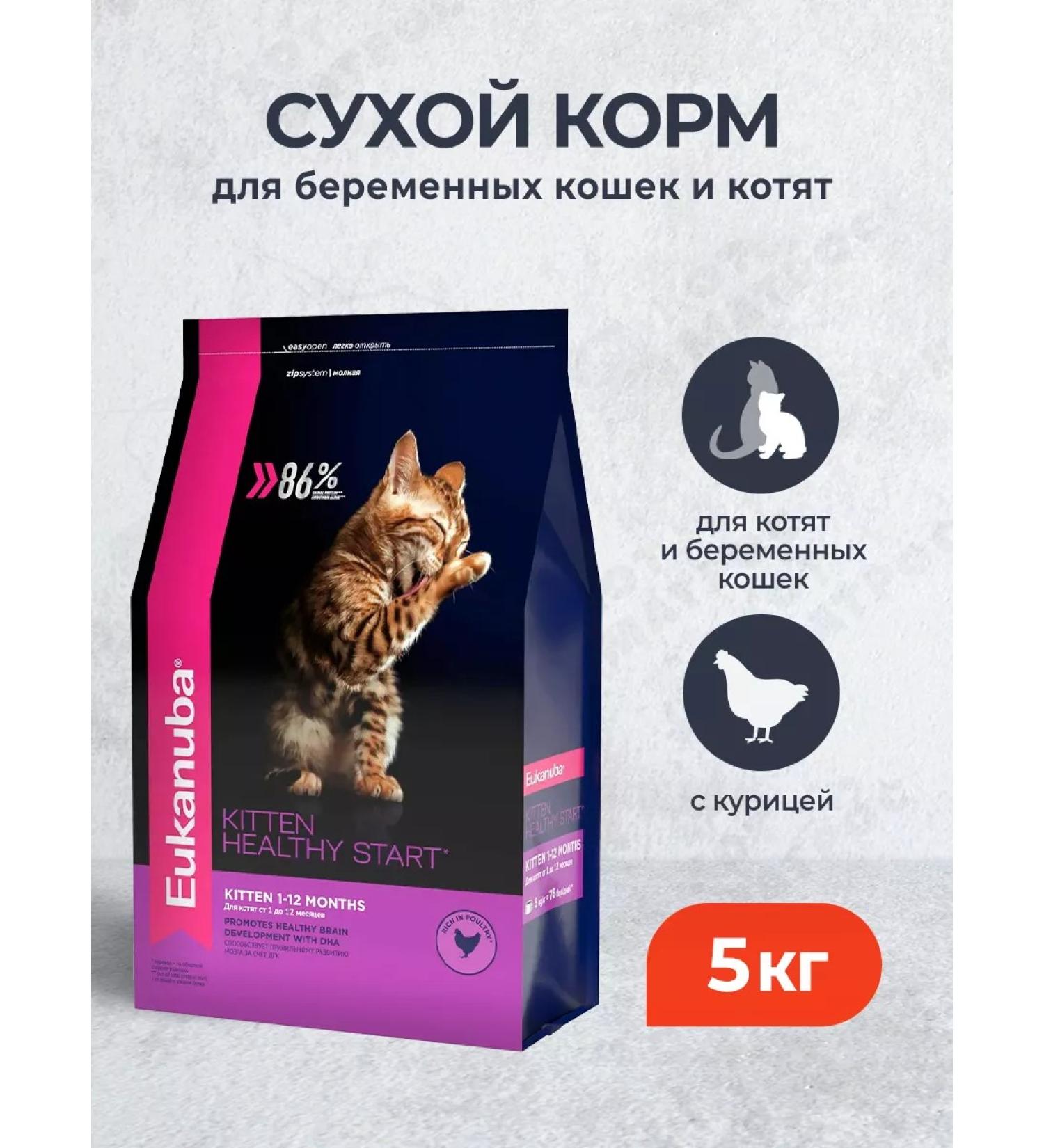 Eukanuba Dry food for kittens pregnant cats with chicken - 5 kg
