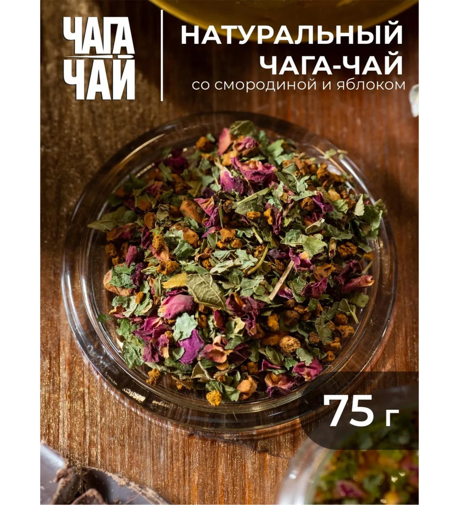 Chaga tea The voice of the north with currant and apple - Buy Online on GoSupps.com