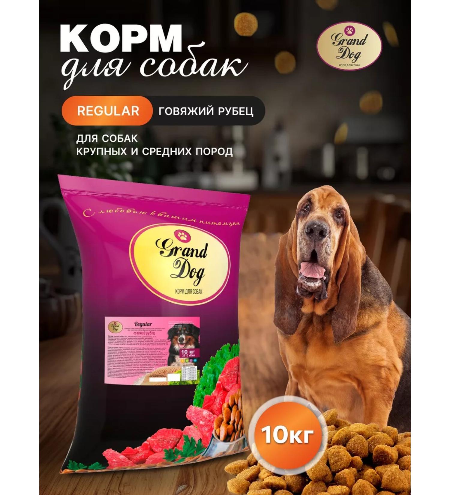 Grand Dog Dry food for dogs regular with beef scar10 kg - Buy Online on GoSupps.com