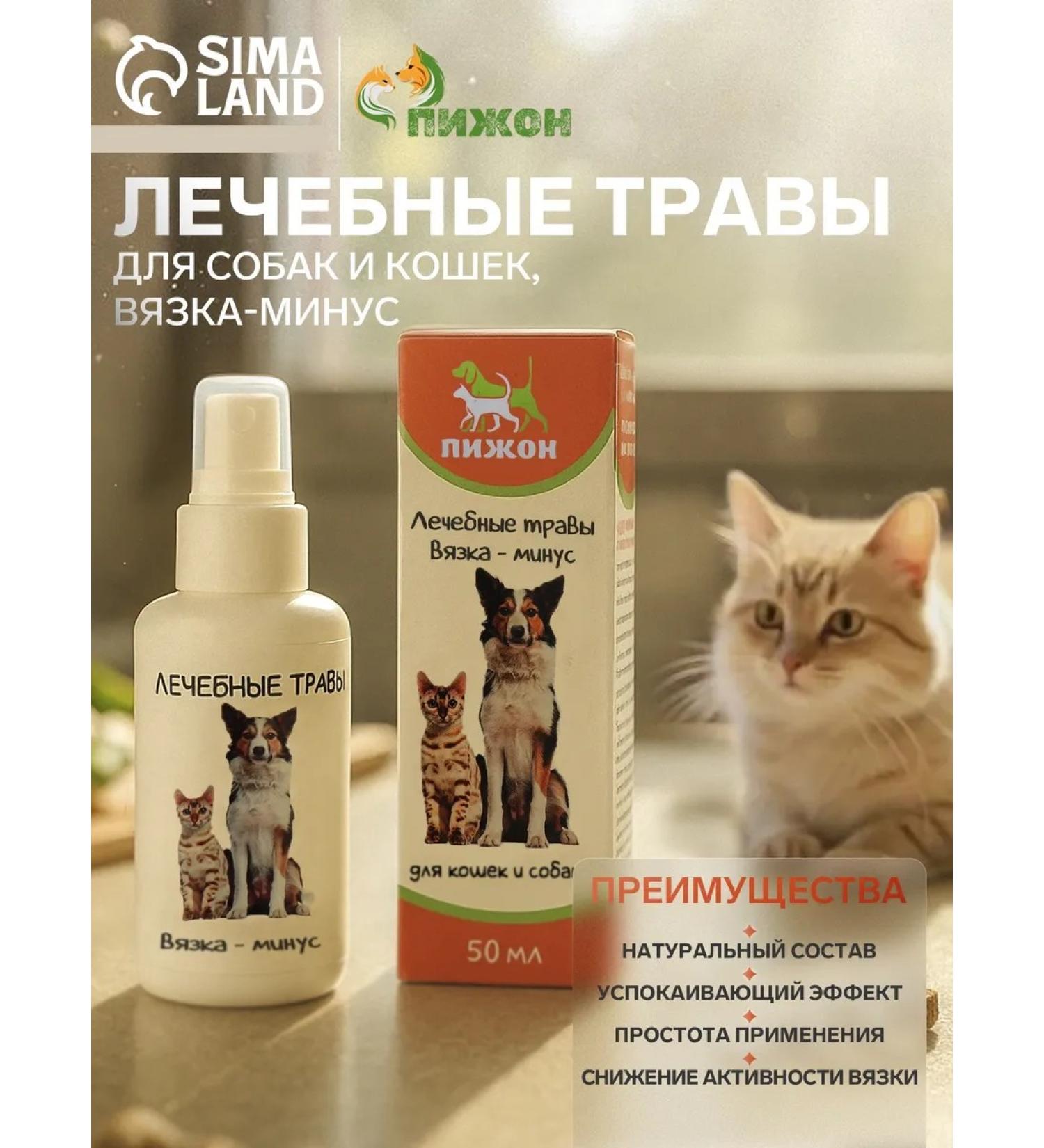 Dude Sedifying for cats and dogs therapeutic herbs - Buy Online on GoSupps.com