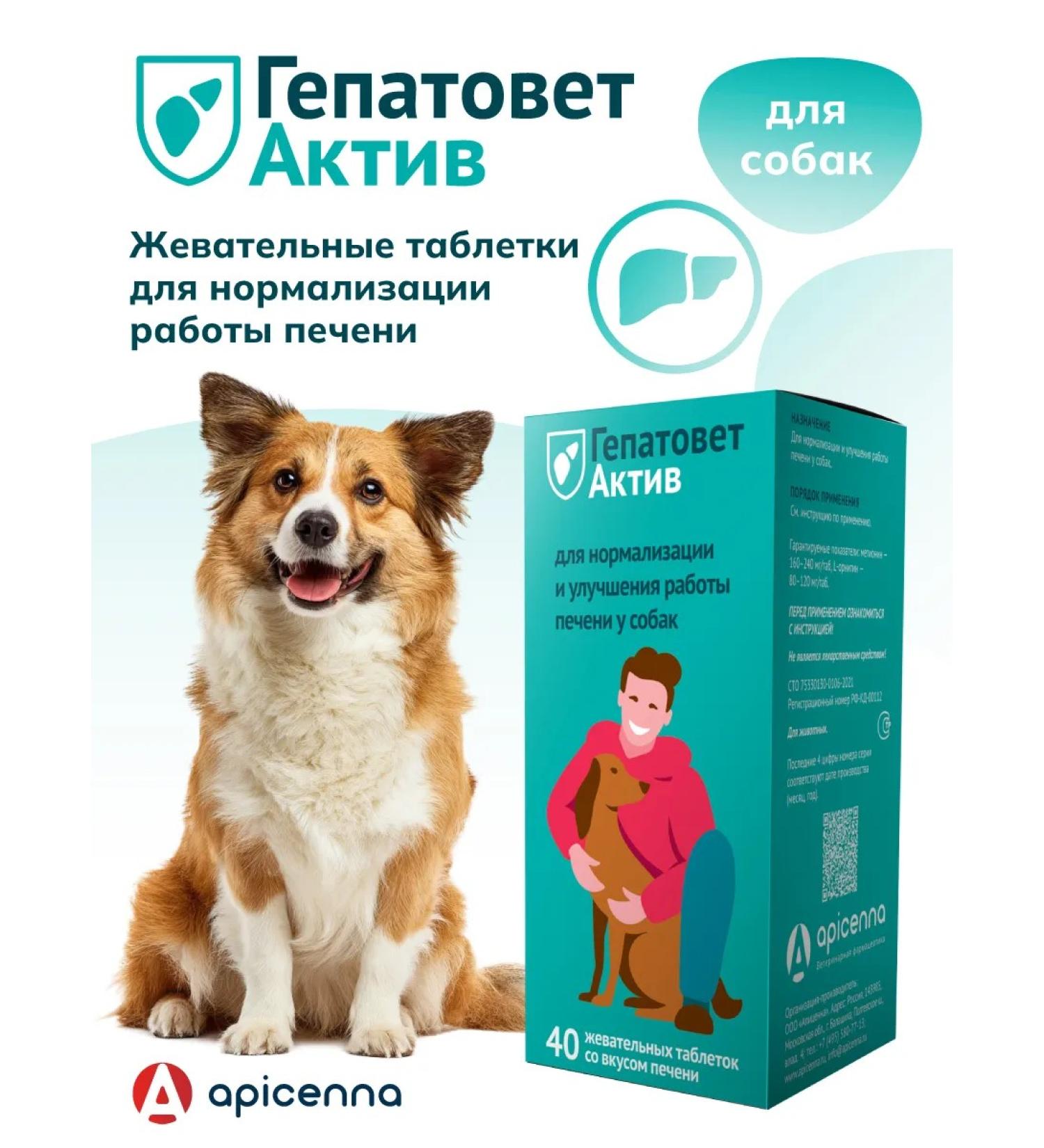Apicenna Chewing hepatitis tablets Act 40 t*1100 mg for dogs - Buy Online on GoSupps.com