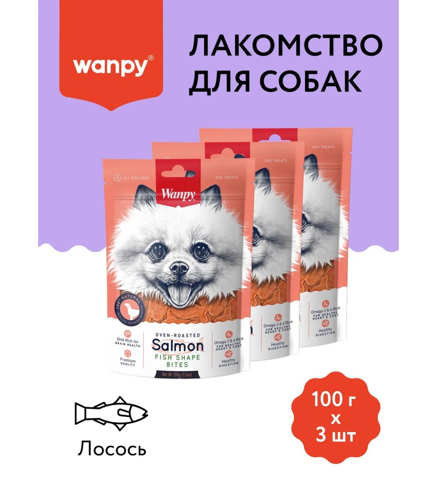 Wanpy Delicacy pieces of delicate salmon 100g x 3 l - Buy Online on GoSupps.com