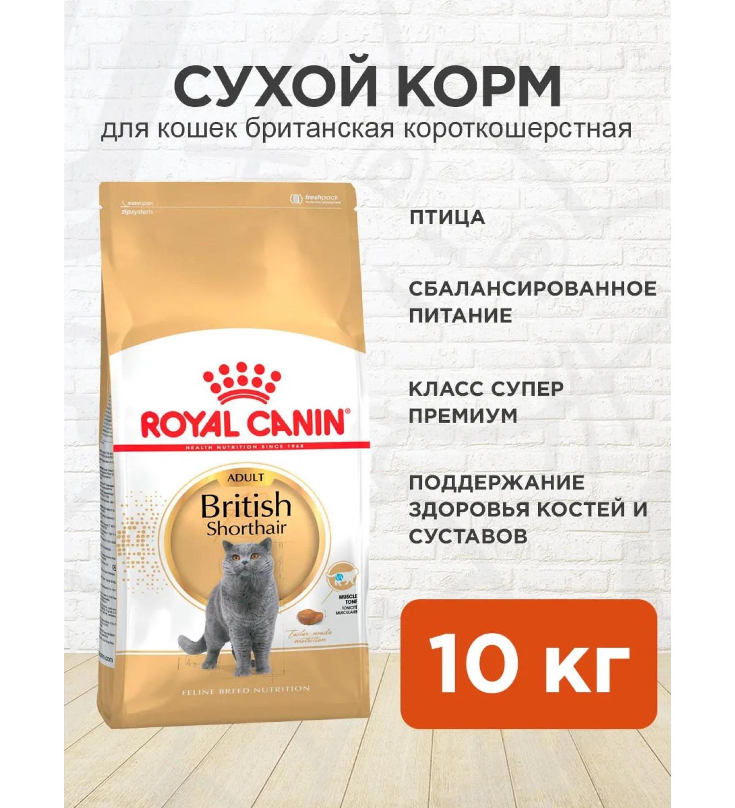 ROYAL CANIN Cat Feed dry British shorthair British 10 kg - Buy Online on GoSupps.com