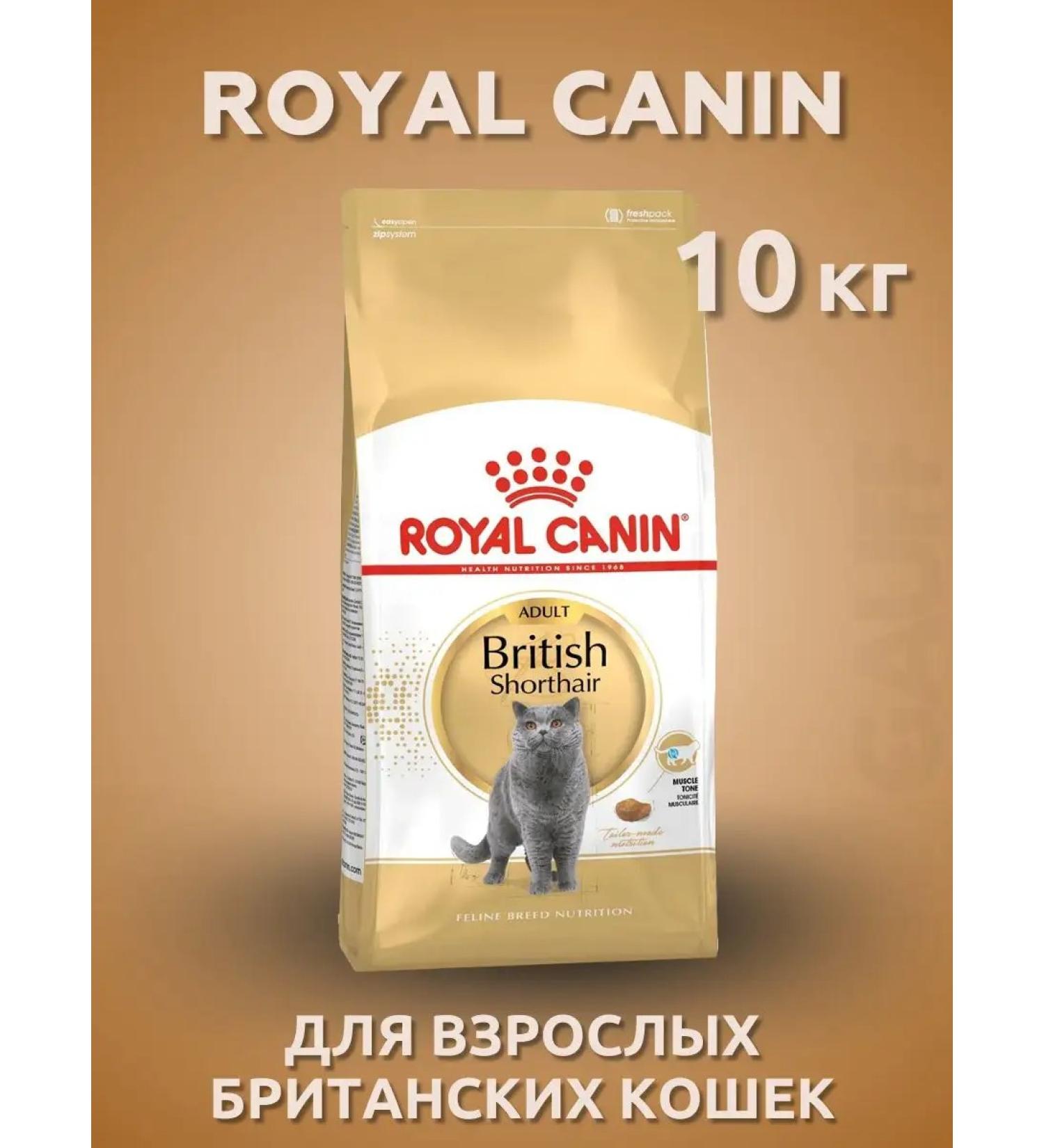 Royal Canin Dry food adult short -haired cats 10 kg - Buy Online on GoSupps.com