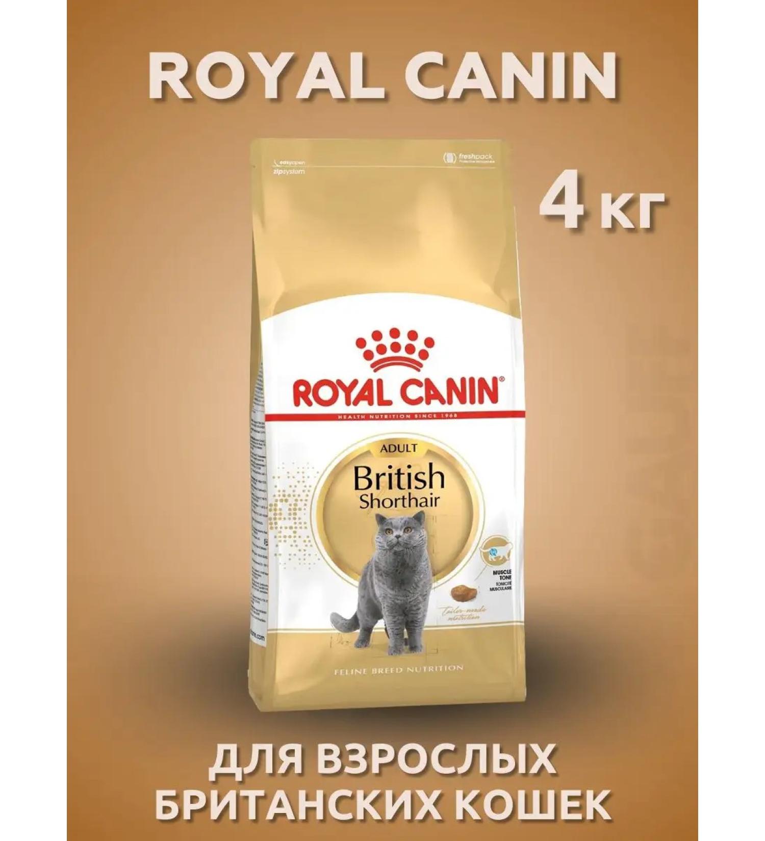 Royal Canin British adult food for British cats 4 kg - Buy Online on GoSupps.com