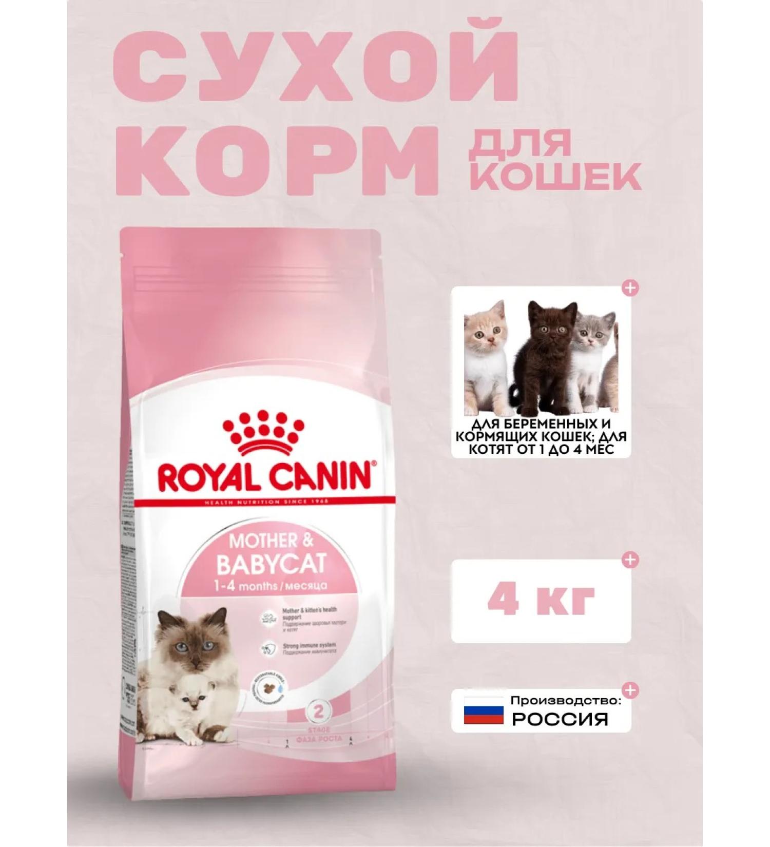 Royal Canin Mother & Babycat Dry Feed for kittens 4 kg - Buy Online on GoSupps.com