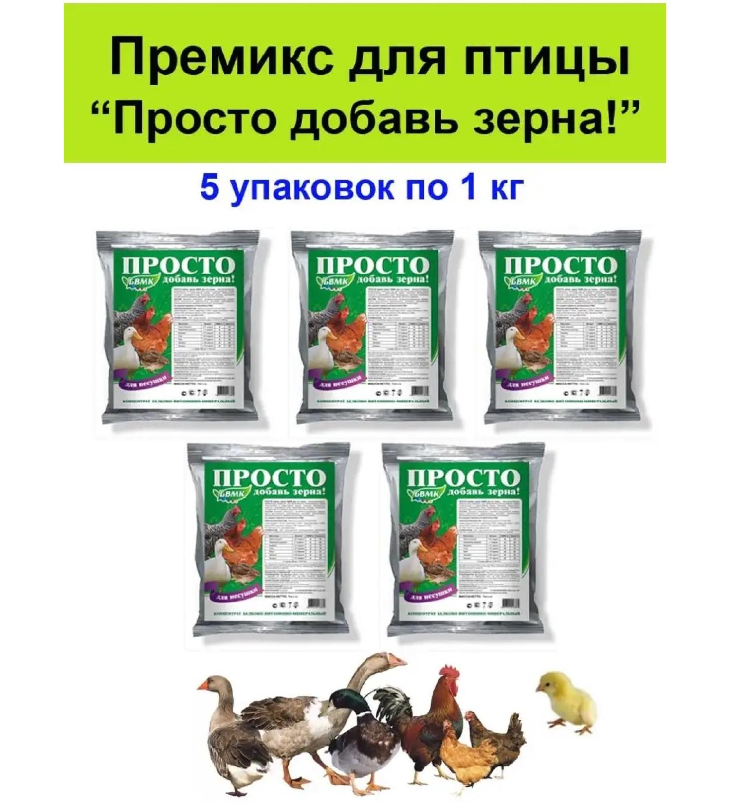Biopro Bird food chickens chickens just add grain 5 pcs - Buy Online on GoSupps.com
