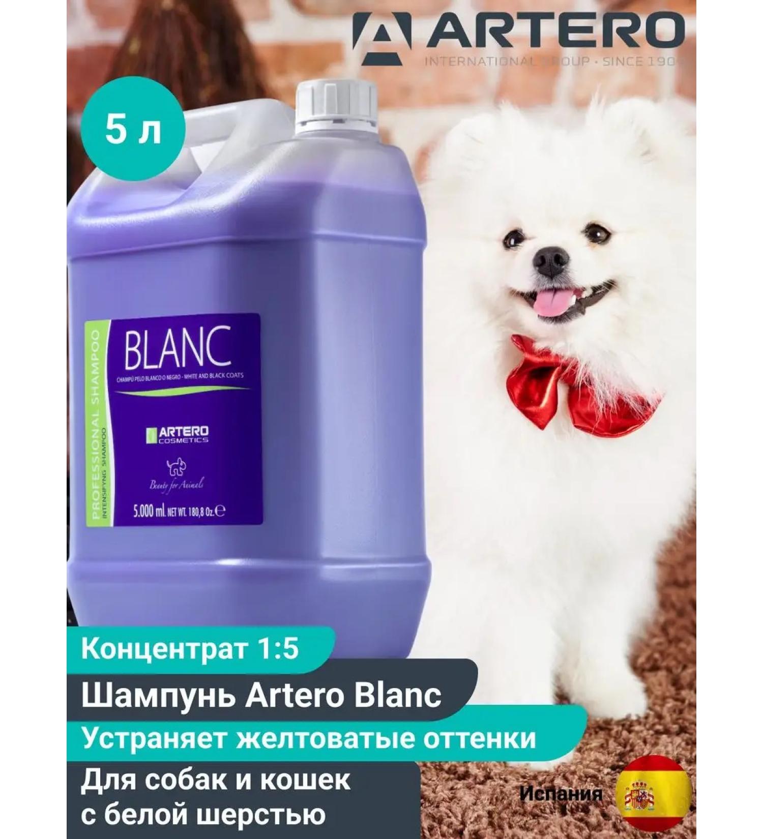 ARTERO Blanc light hair shampoo with light wool - Buy Online on GoSupps.com