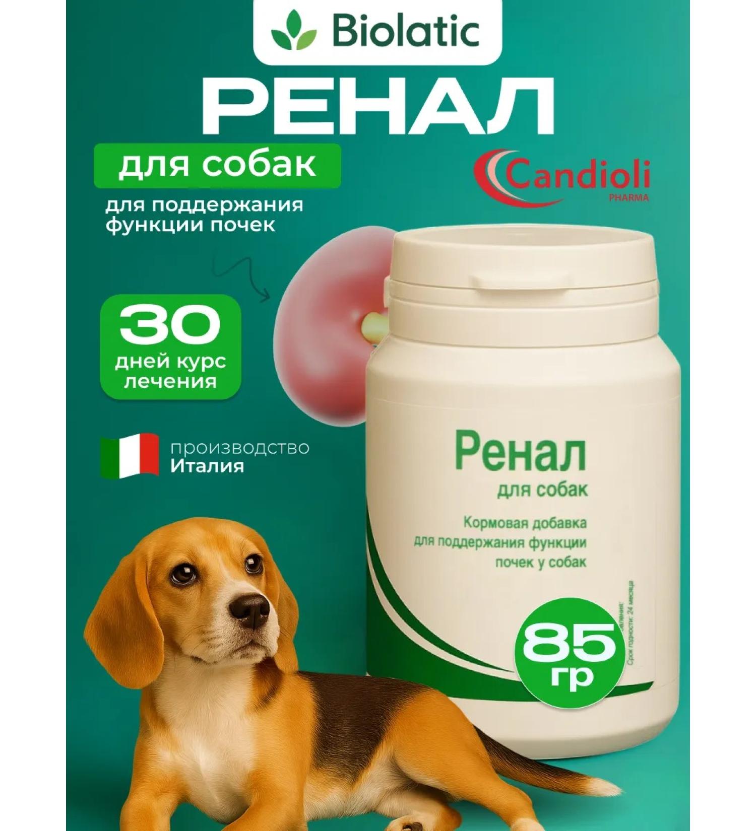 Candioli Renal powder vitamin additive for dogs 85g - Buy Online on GoSupps.com