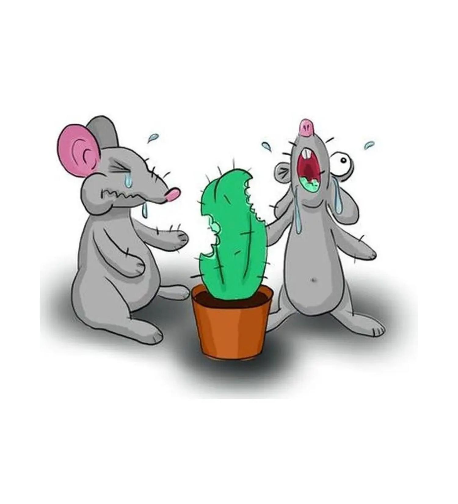 FMD From the smell in the area of the woman's microflora! - Buy Online on GoSupps.com