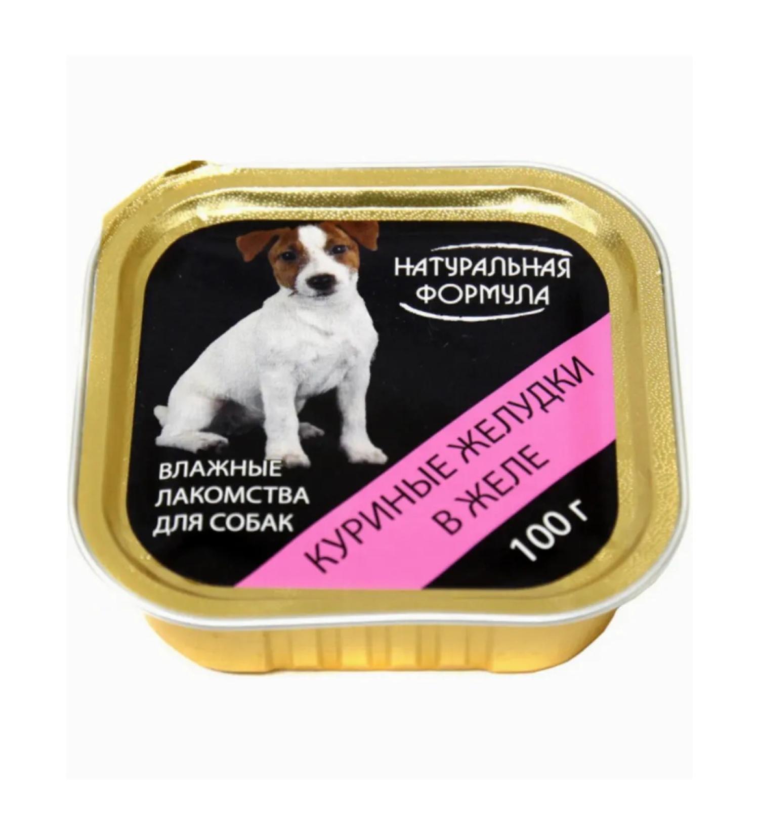 Natural formula Canned food for dogs chicken stomachs in jelly 100g