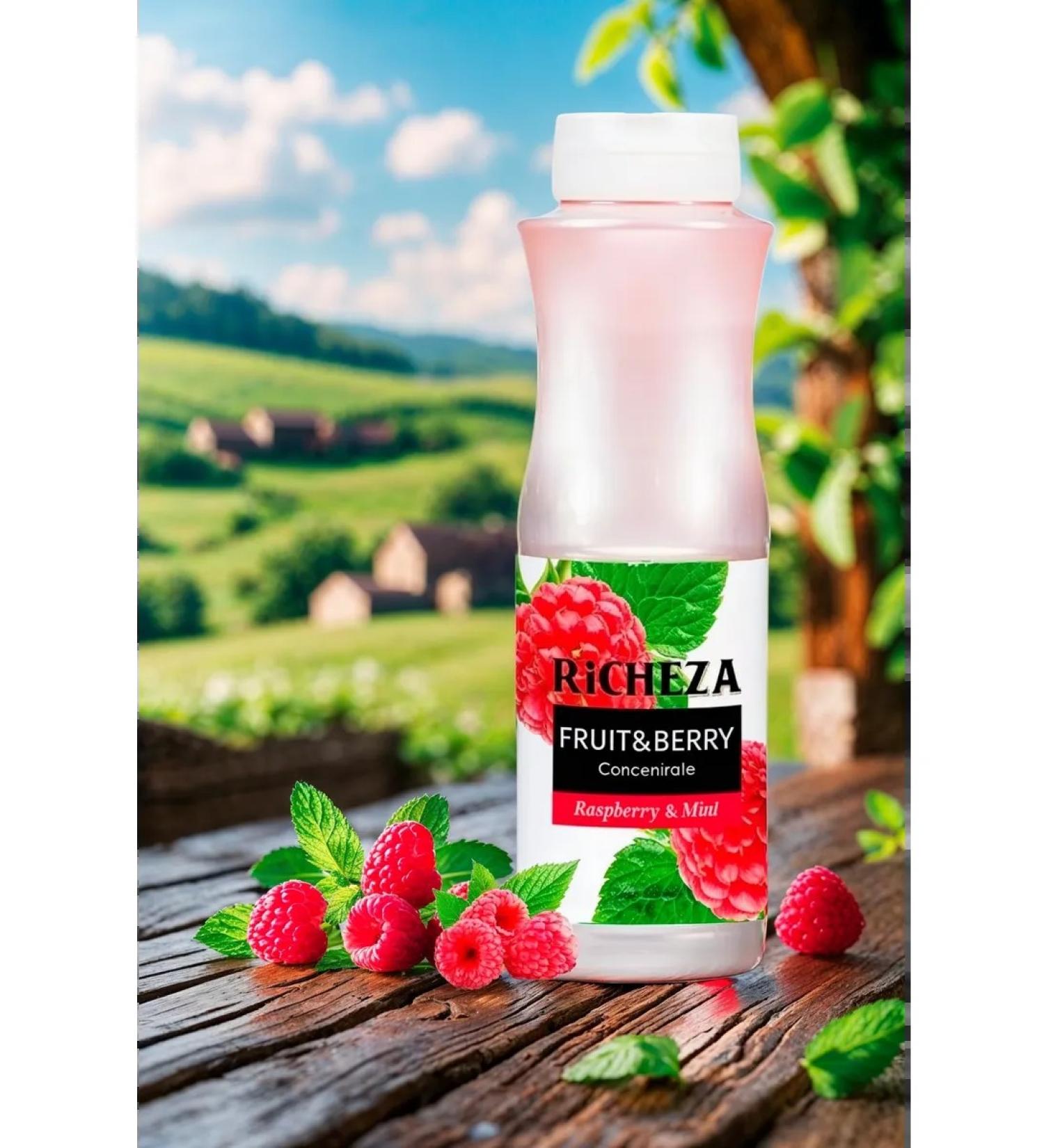 RiCHEZA Raspberry drink concentrate - mint 1 kg