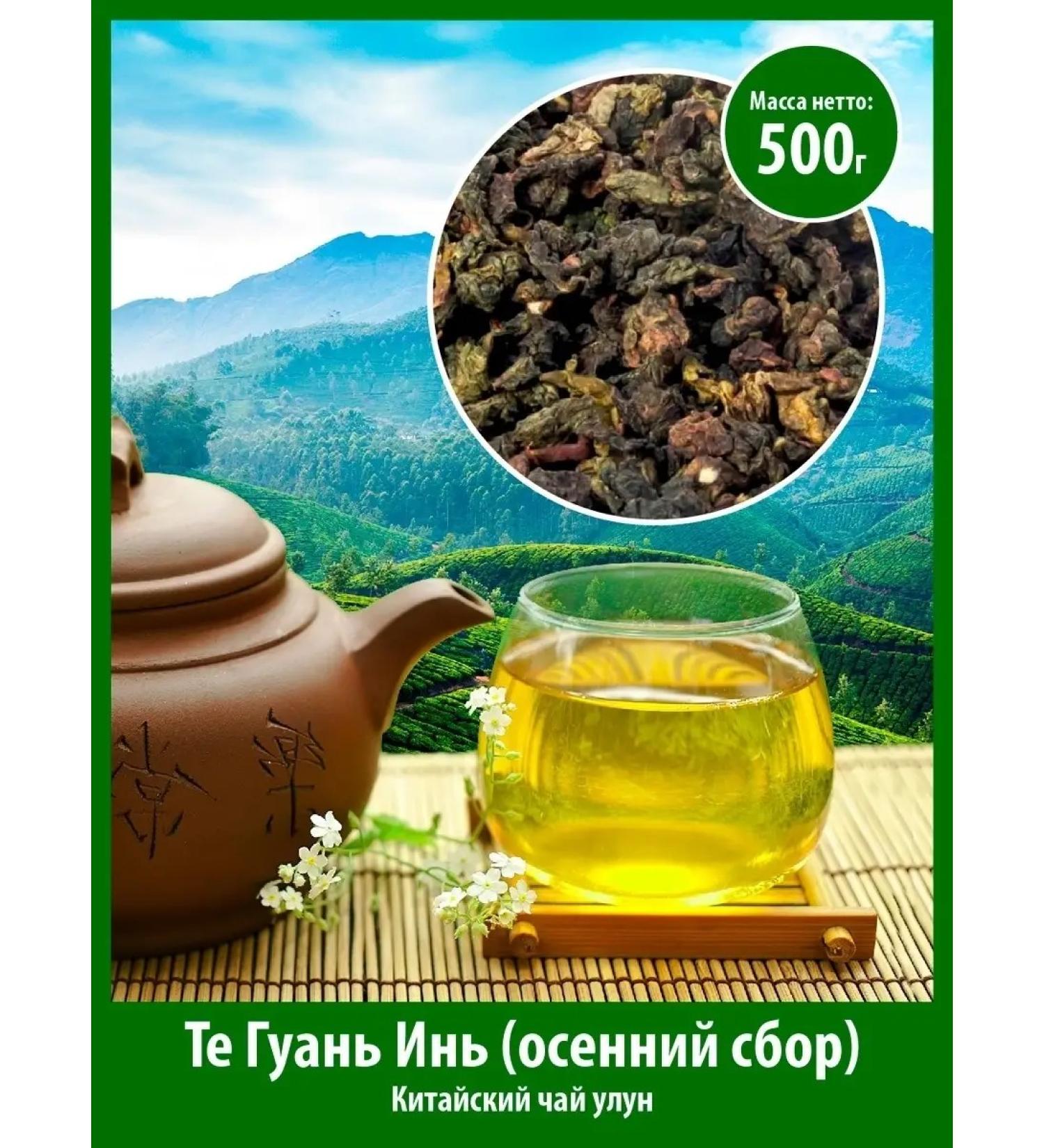 Gutenberg Green Tea thwan yin autumn gathering 500 g Chinese oolun - Buy Online on GoSupps.com
