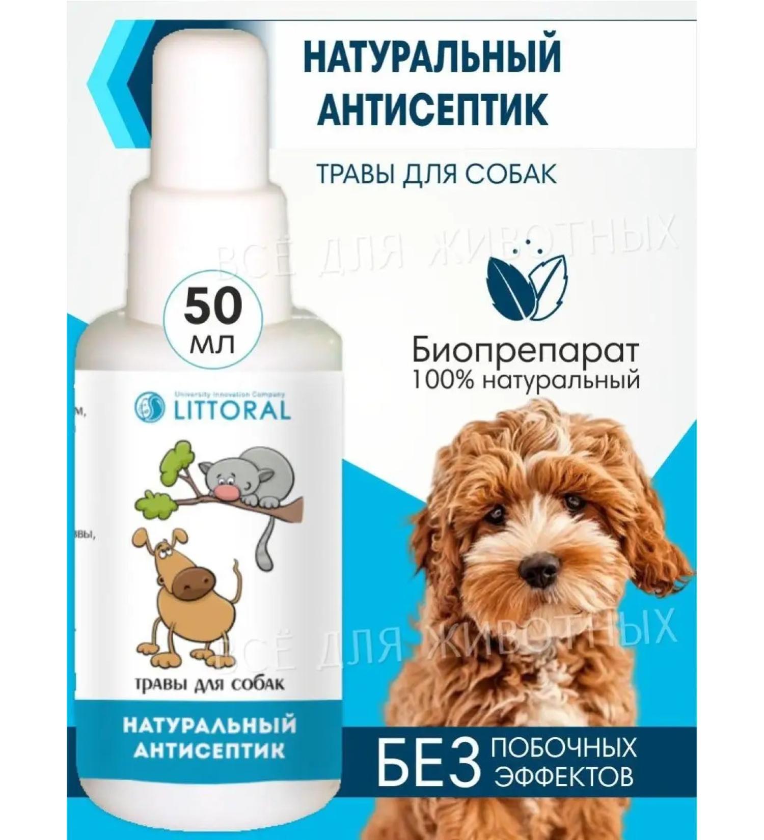Littoral Antiseptic for dogs wound healing - Buy Online on GoSupps.com