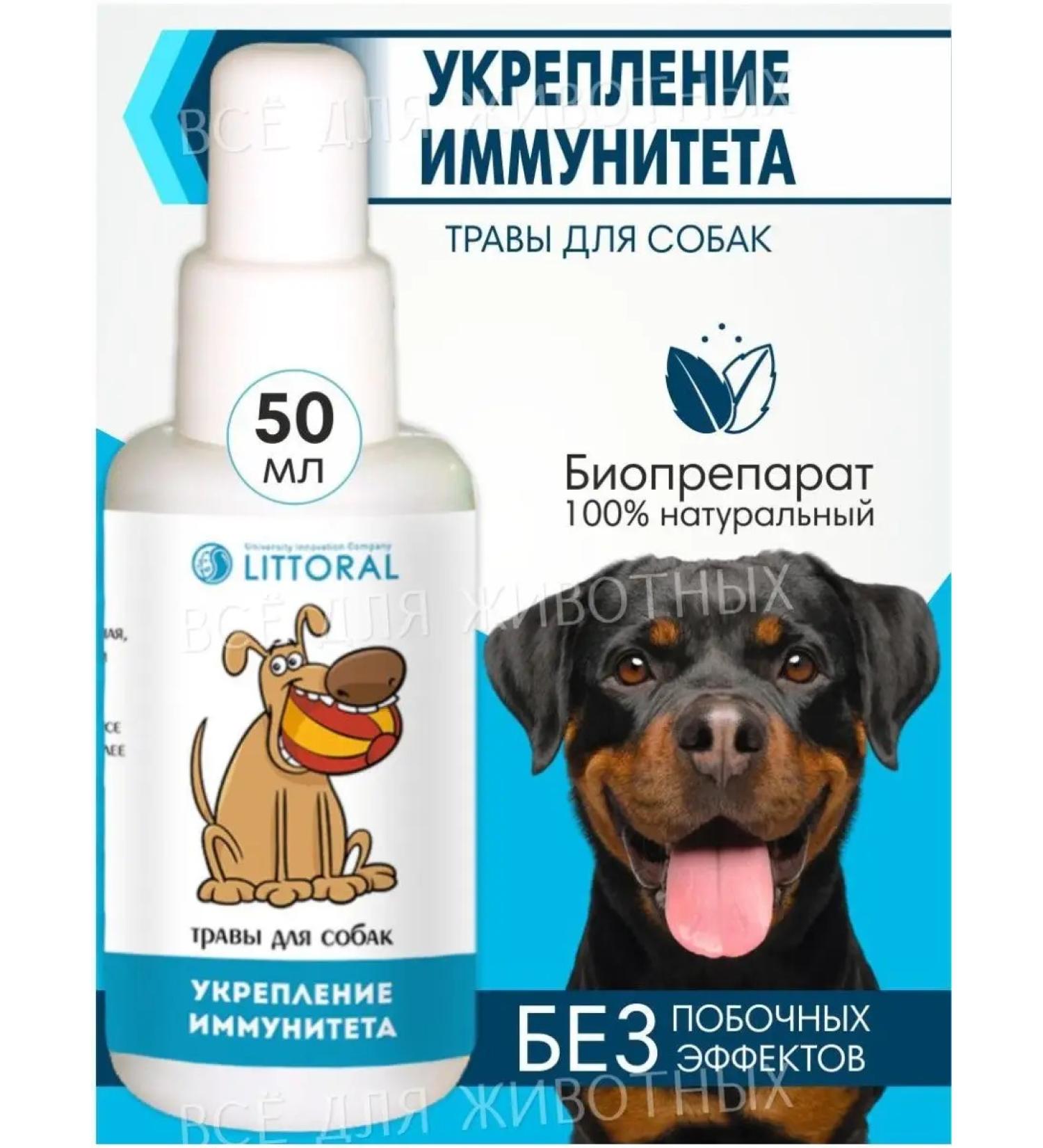 Littoral Vitamins for dogs for immunity - Buy Online on GoSupps.com