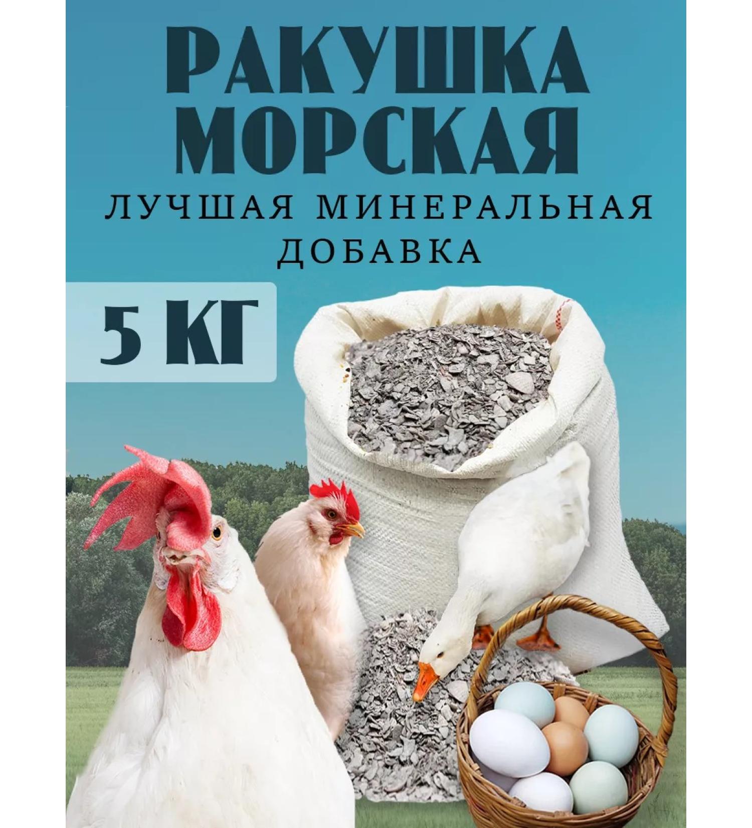 KORMIS Broke for chickens fodder sea 5kg - Buy Online on GoSupps.com