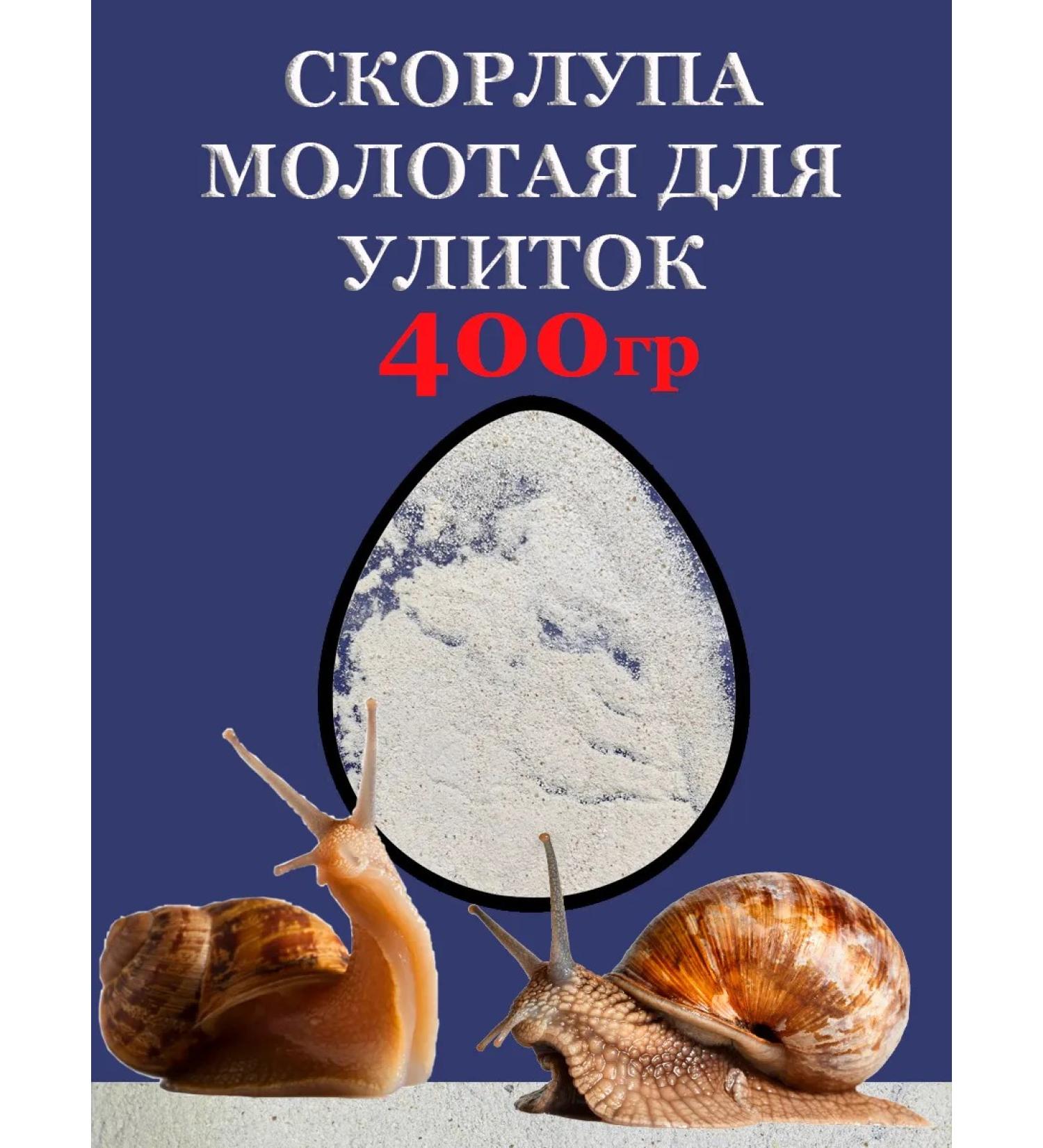 ULITON Holly shell for snails - Buy Online on GoSupps.com