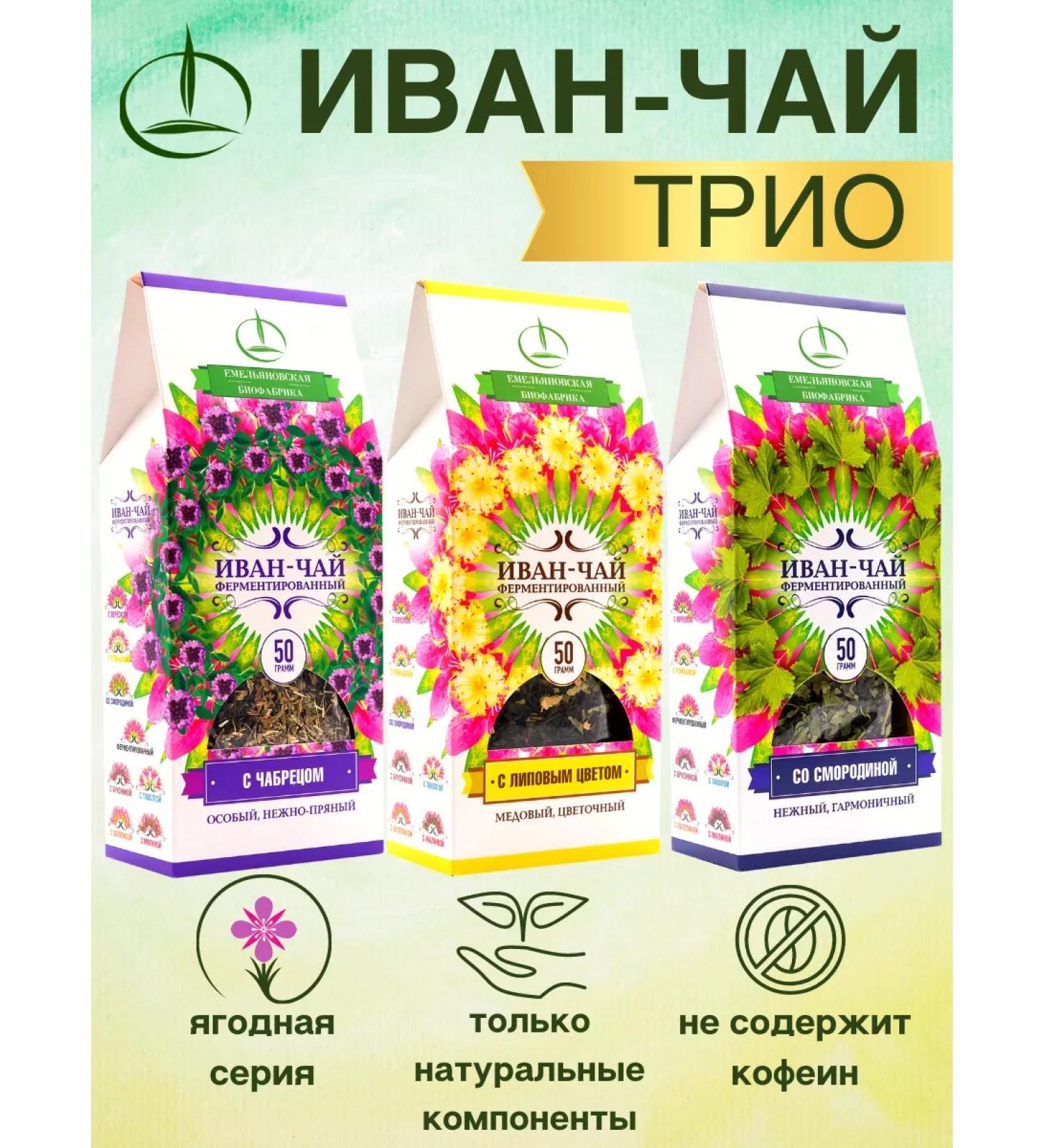 Emelyanovskaya Biofactory Ivan-tea 3 pcs 50 g linden currant thyme - Buy Online on GoSupps.com