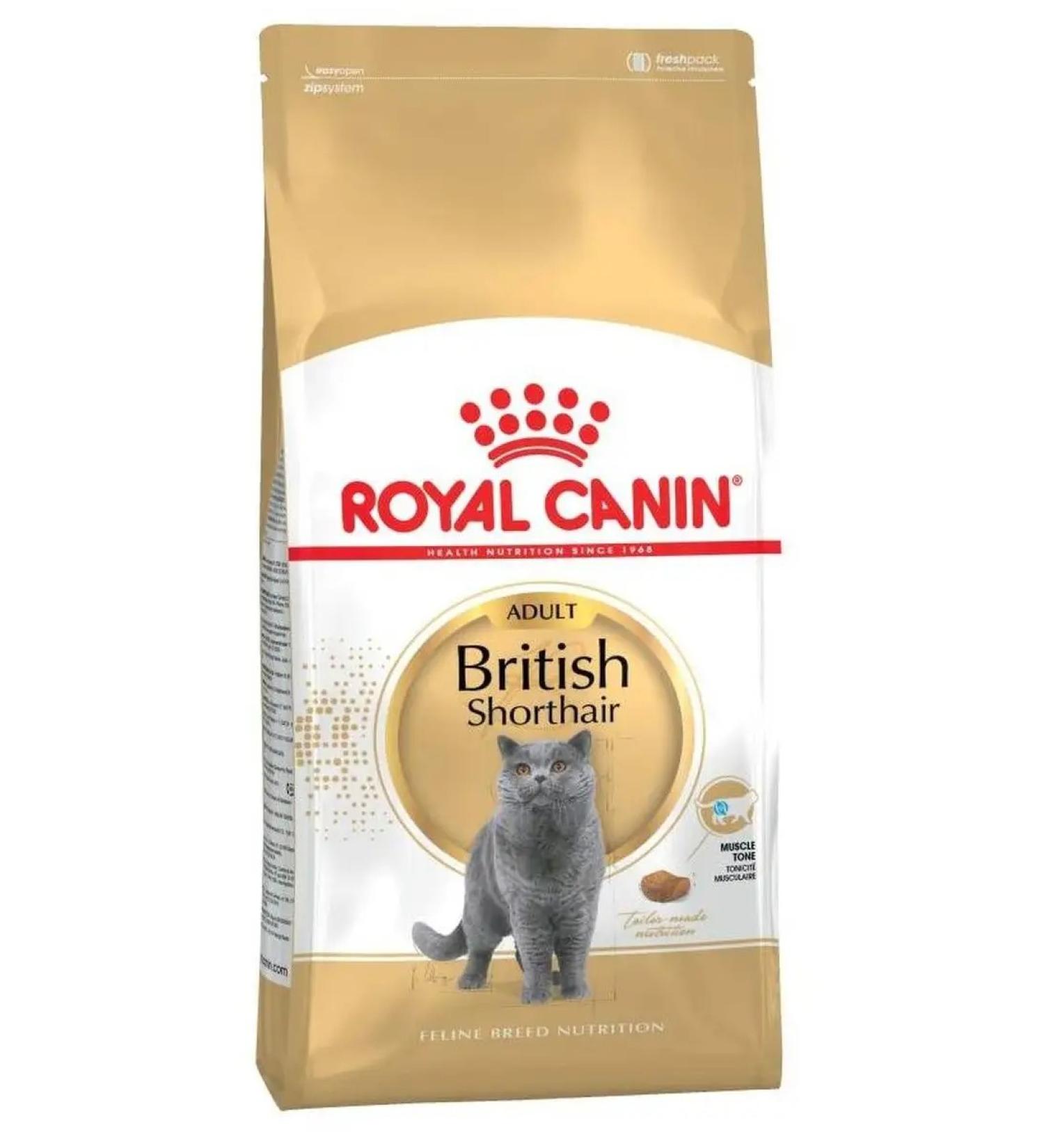 ROYAL CANIN British shorthair adult dry cat food 2 kg - Buy Online on GoSupps.com