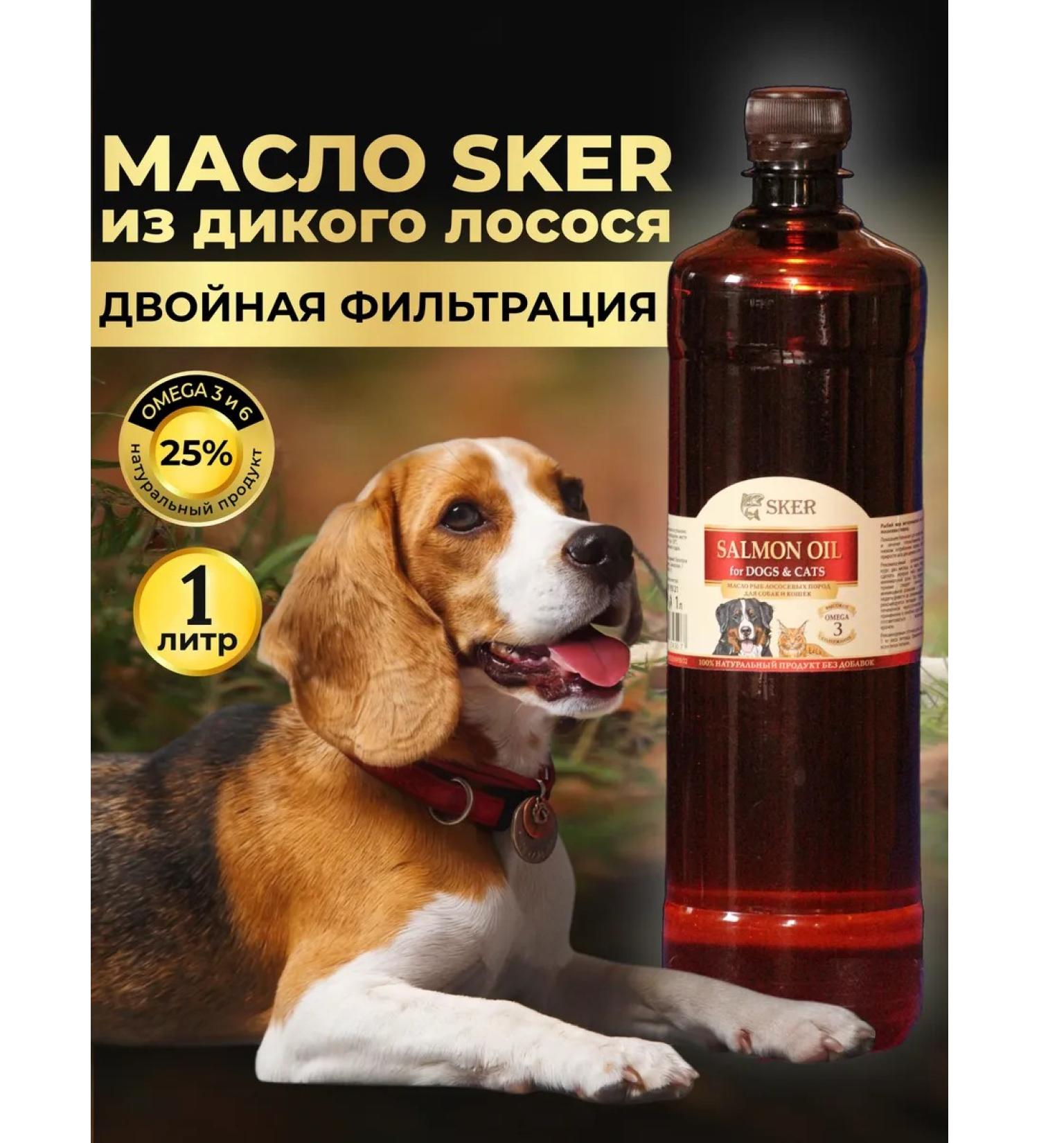 SKER Salmon oil for cats and dogs - Buy Online on GoSupps.com
