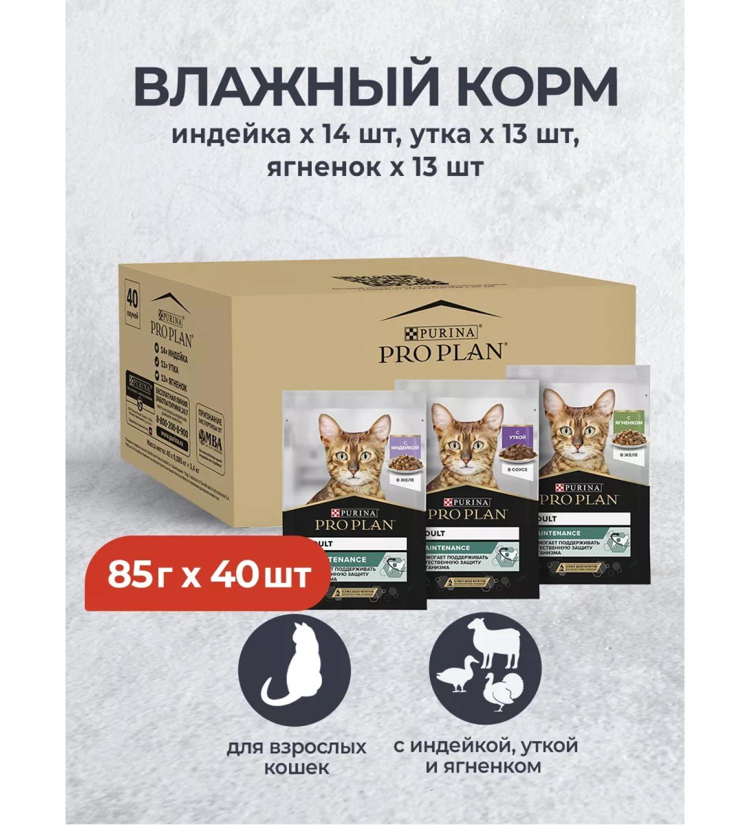 PRO PLAN Spider for cats with turkey with a duck with a lamb 85 g x 40 pcs - Buy Online on GoSupps.com