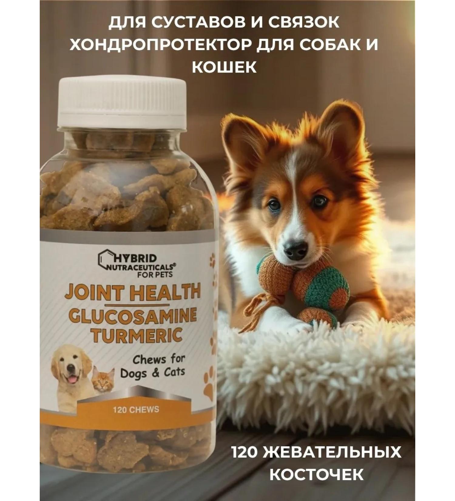 HYBRID NUTRACEUTICALS Chondroprotector for dogs and cats 120 bones - Buy Online on GoSupps.com