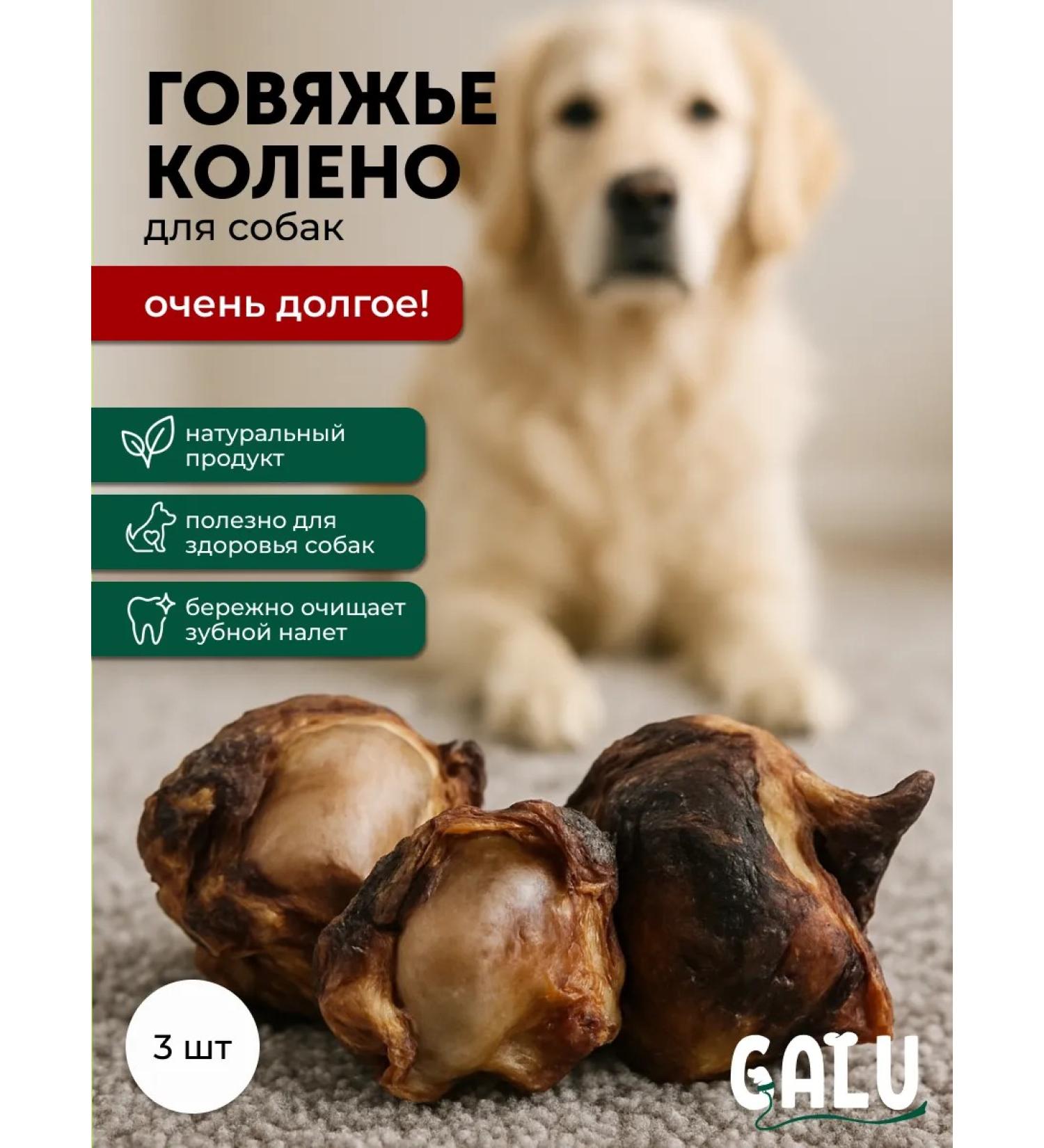 Galu Beef knee for dogs long -playing treats - Buy Online on GoSupps.com