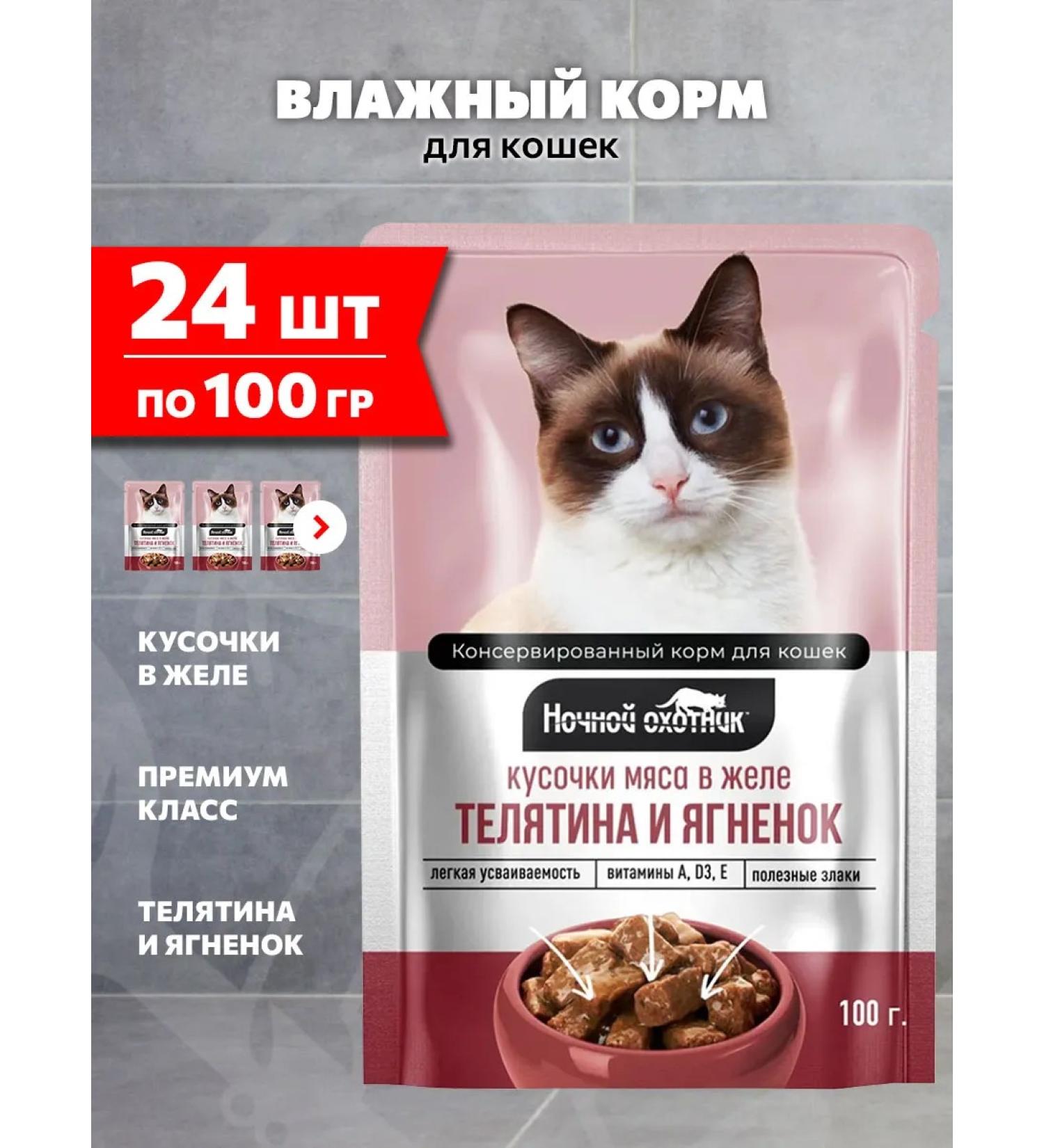 Night Hunter Cat food for moist veal lumberry 100 g 24 pcs - Buy Online on GoSupps.com