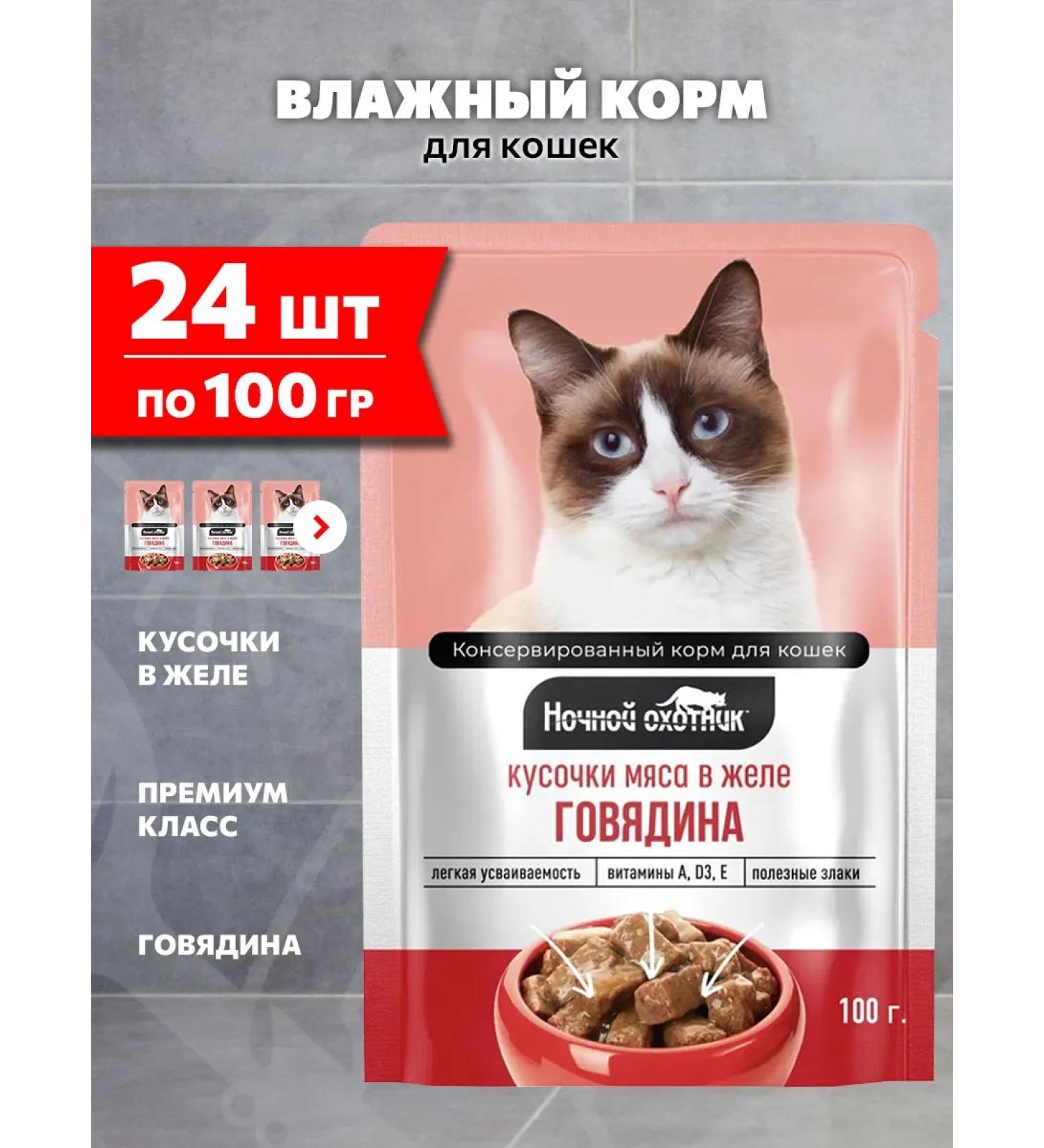 Night Hunter Cat food for a wet beef in jelly 100 g 24 pcs - Buy Online on GoSupps.com