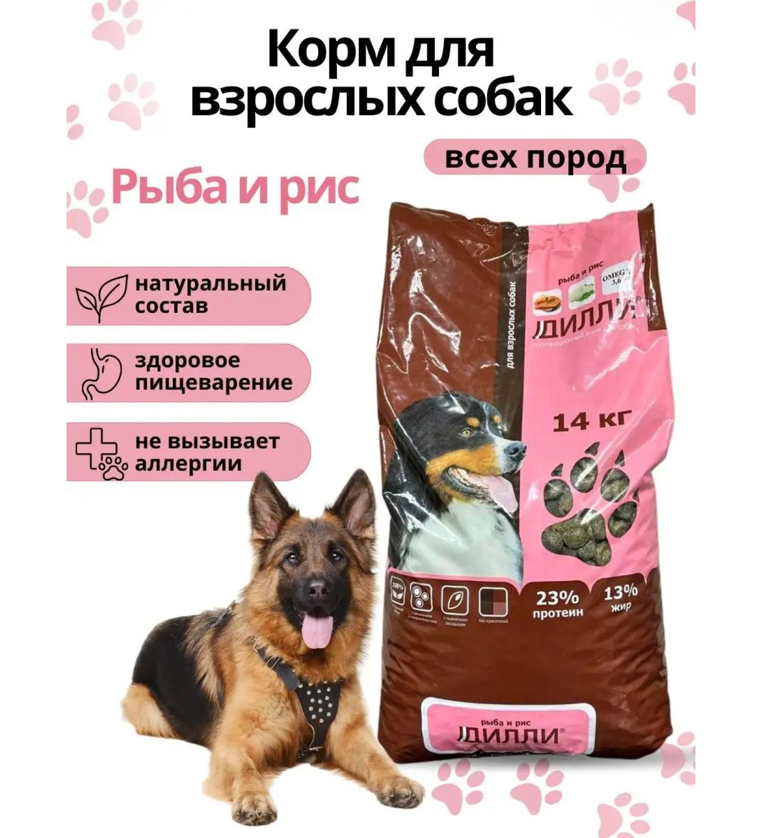 DILLY Dry food for dogs of all breeds - Buy Online on GoSupps.com