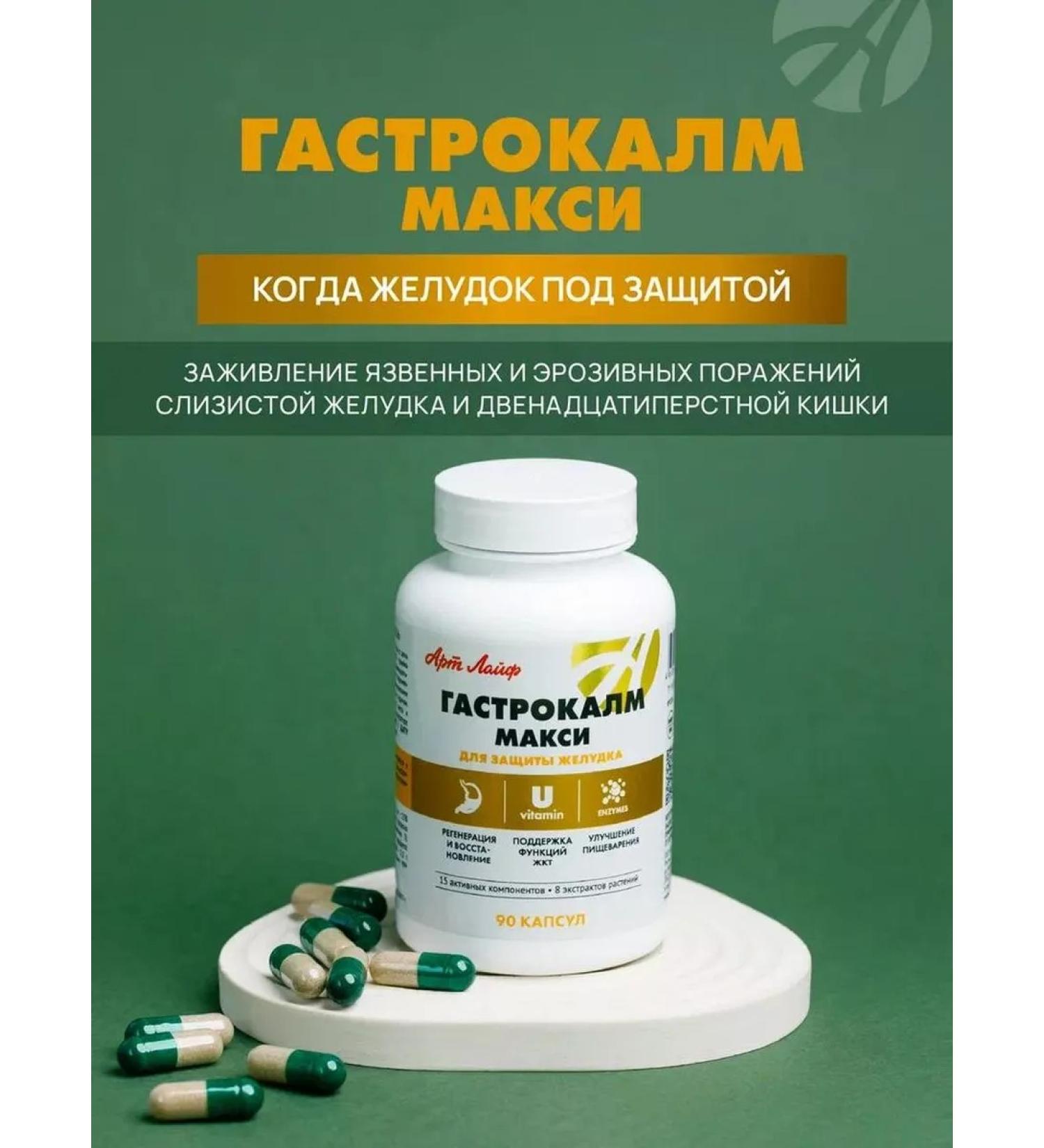 ArtLife Gastrocalm maxi health of the stomach - Buy Online on GoSupps.com