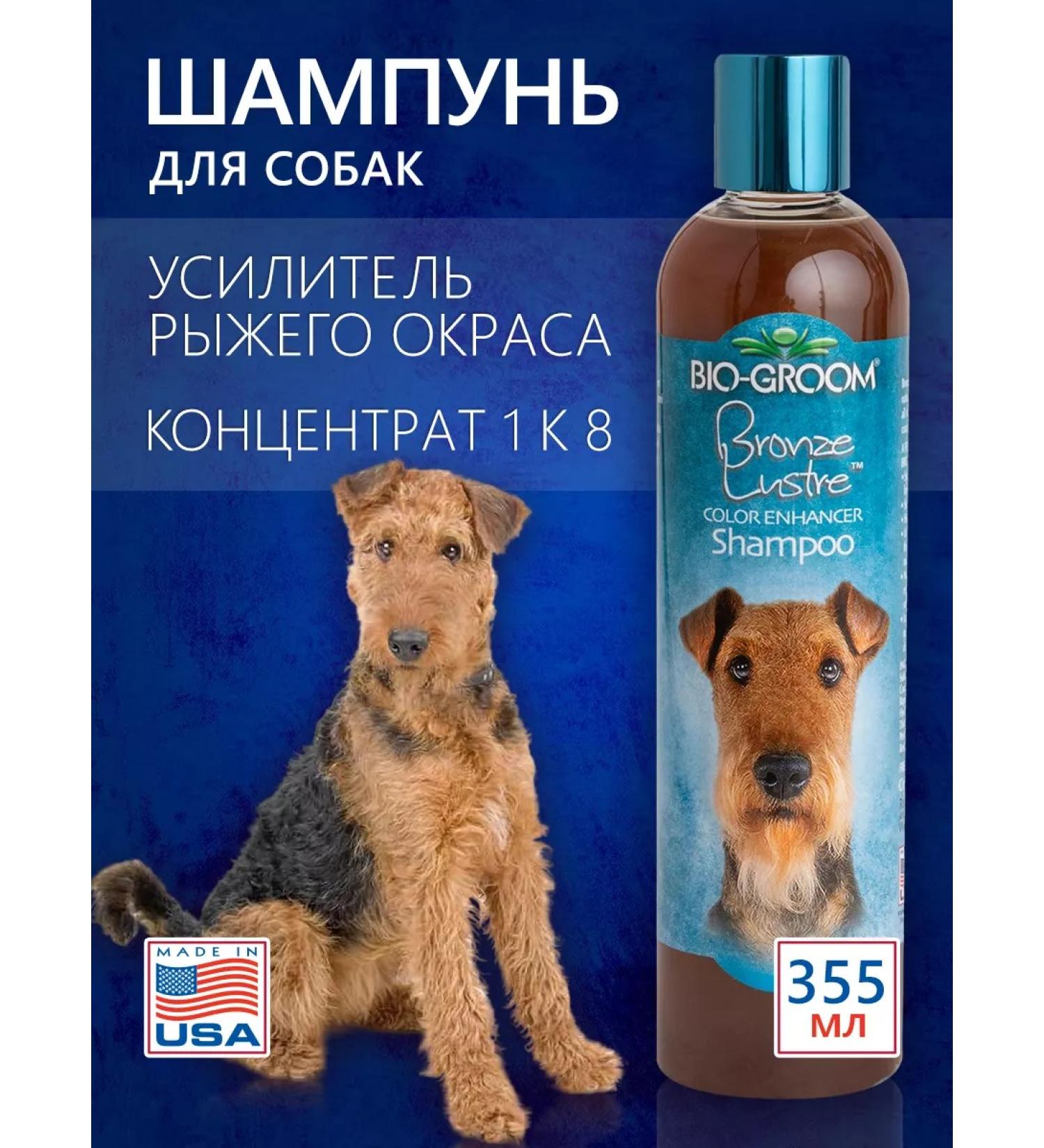 BioGroom Red and brown color shampoo concentrate 1 8 - Buy Online on GoSupps.com