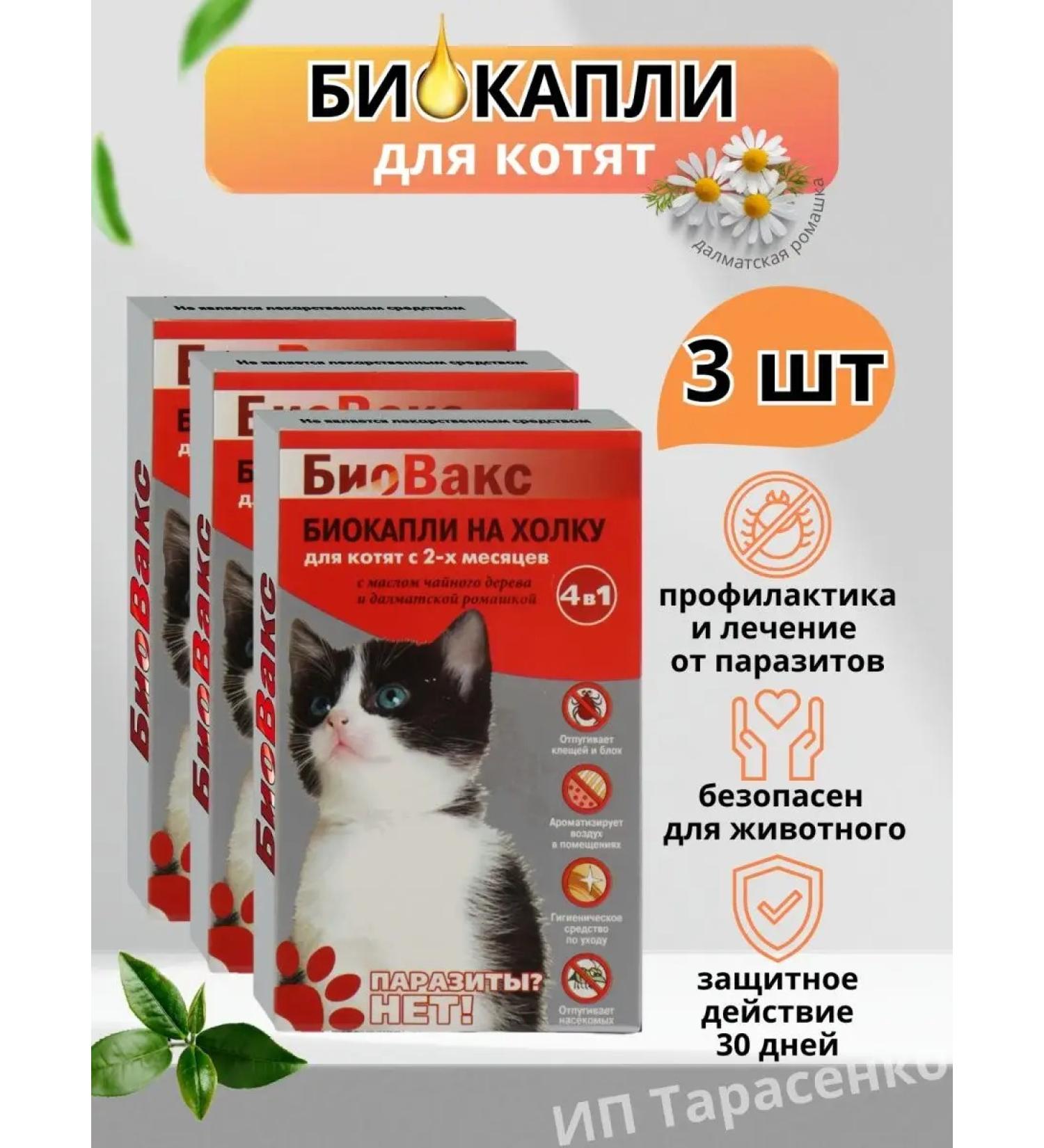 Biovax Bio-cancer on the withers for cats and kittens