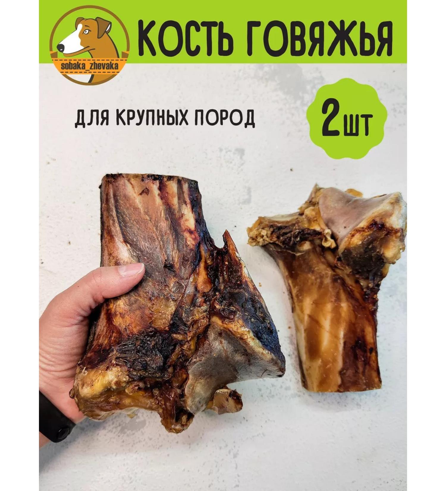 chewing dog Bone bone for dogs large 2pcs - Buy Online on GoSupps.com