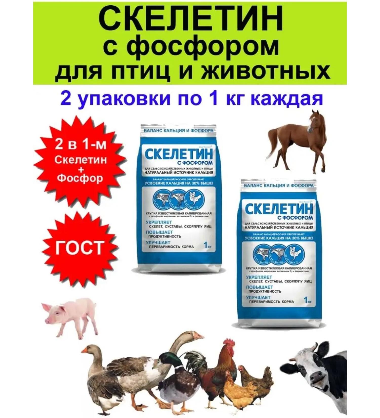 Biopro Skeletin with phosphorus for birds of chickens of animal chickens 1 kg - 2 pcs - Buy Online on GoSupps.com