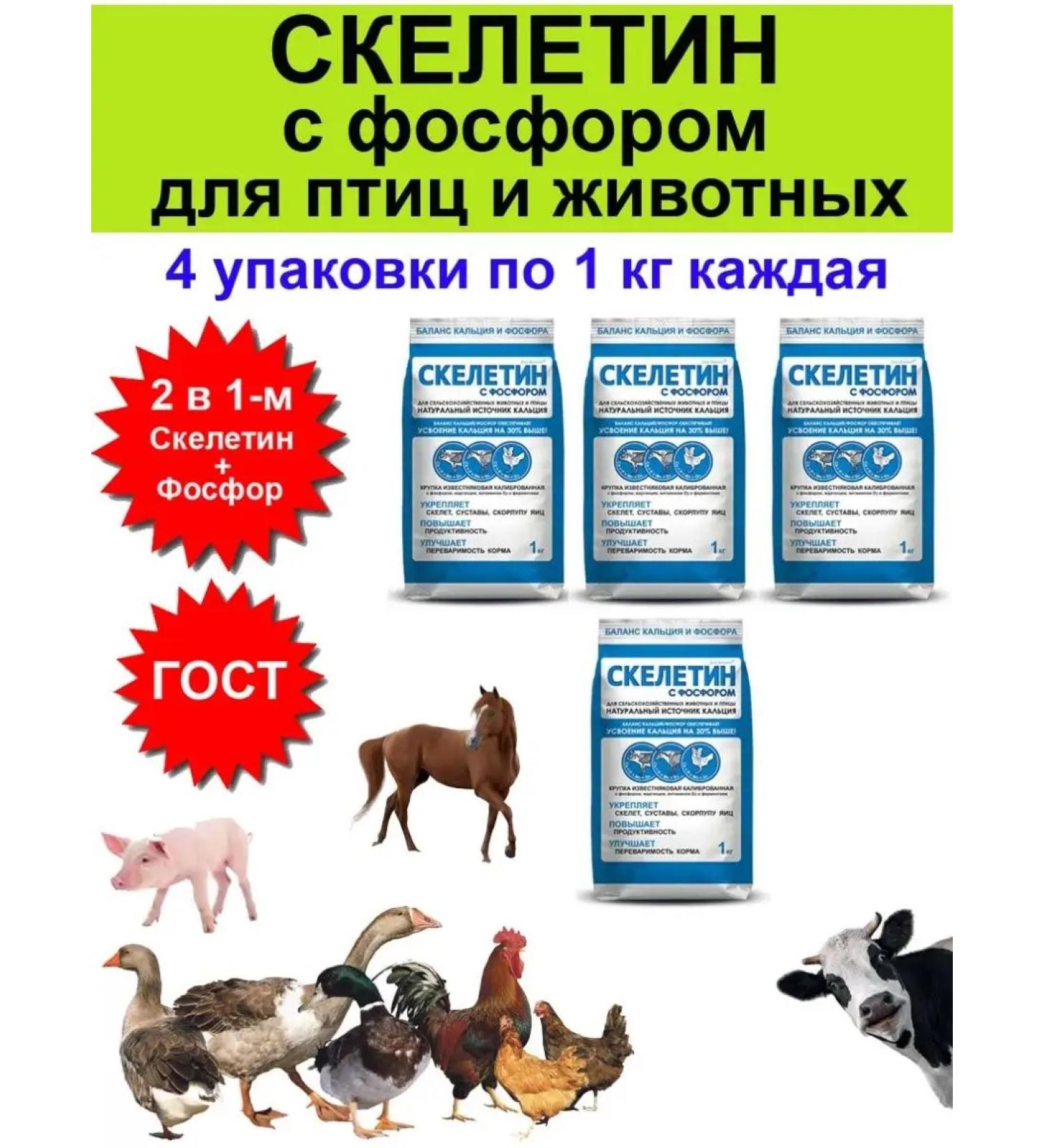 Biopro Skeletin with phosphorus for birds of chickens of animals 1 kg - 4 pcs - Buy Online on GoSupps.com